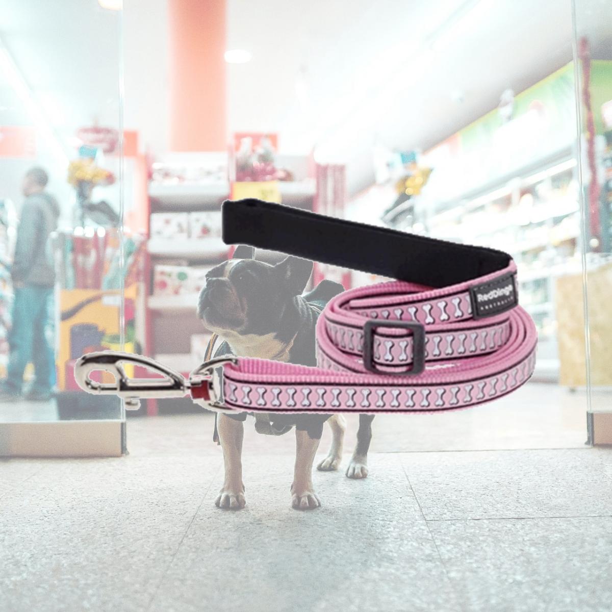 Picture of Red Dingo L6-RB-PK-20 Dog Lead Reflective Pink- Medium