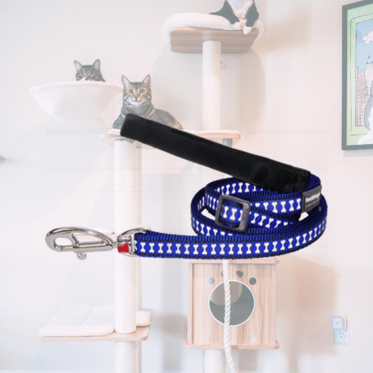 Picture of Red Dingo L6-RB-DB-25 Dog Lead Reflective Dark Blue- Large