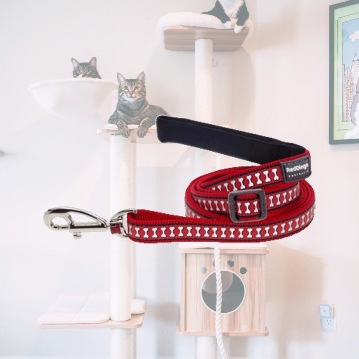 Picture of Red Dingo L6-RB-RE-25 Dog Lead Reflective Red- Large