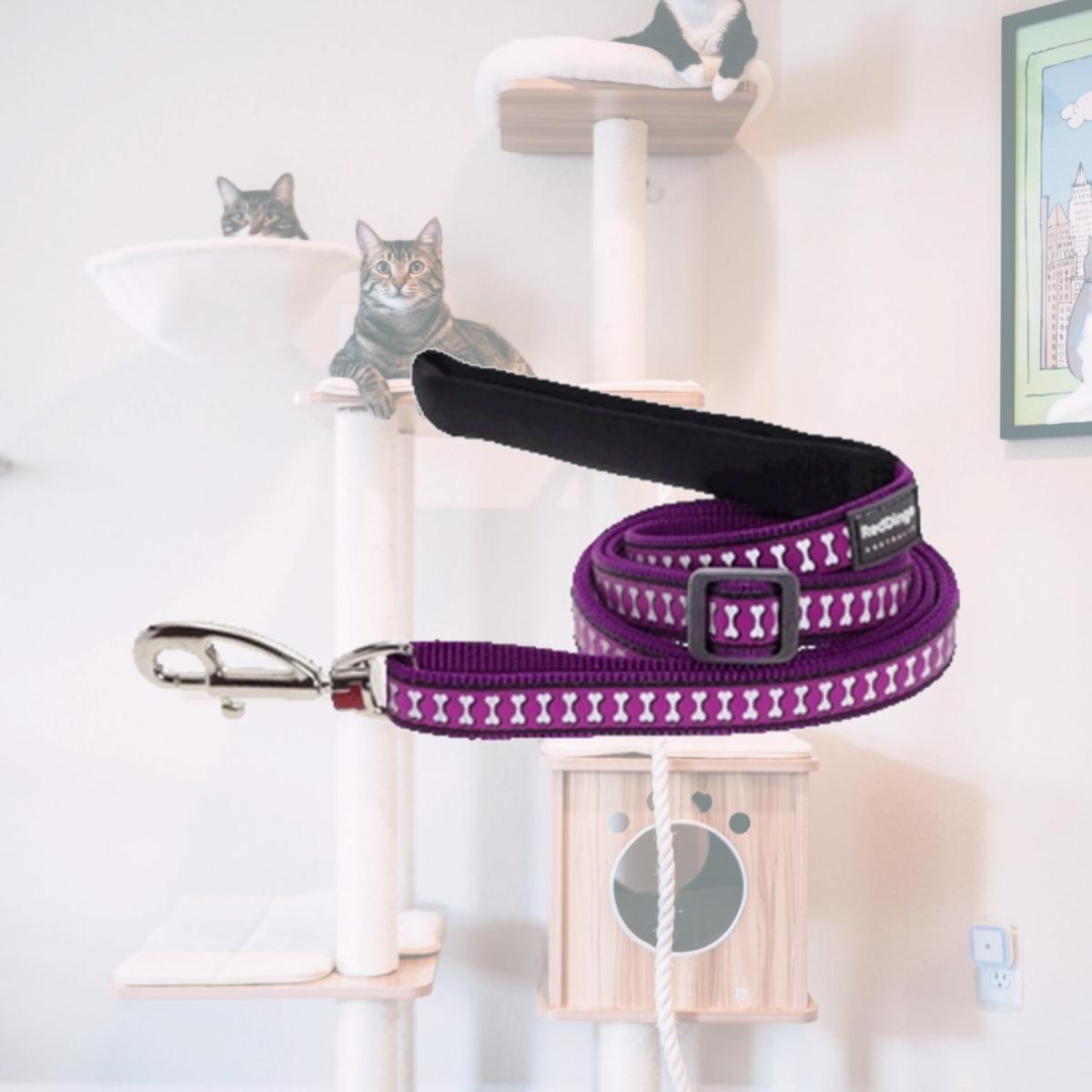 Picture of Red Dingo L6-RB-PU-25 Dog Lead Reflective Purple- Large