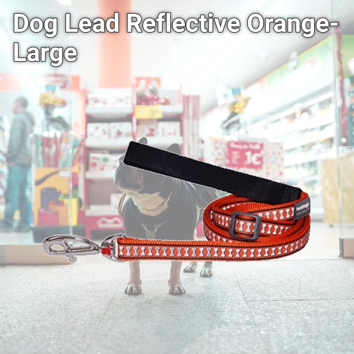 Picture of Red Dingo L6-RB-OR-25 Dog Lead Reflective Orange- Large