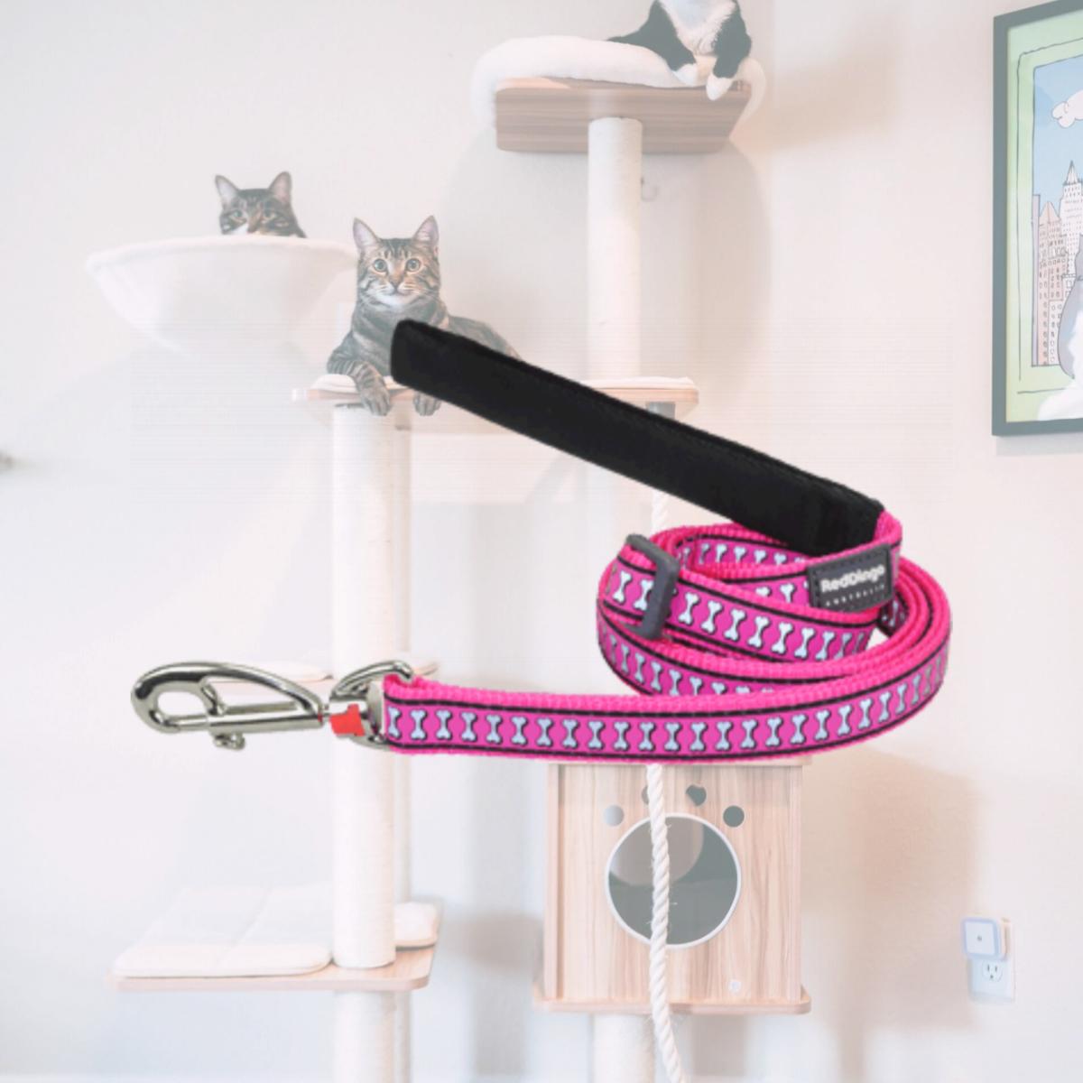 Picture of Red Dingo L6-RB-HP-25 Dog Lead Reflective Hot Pink- Large