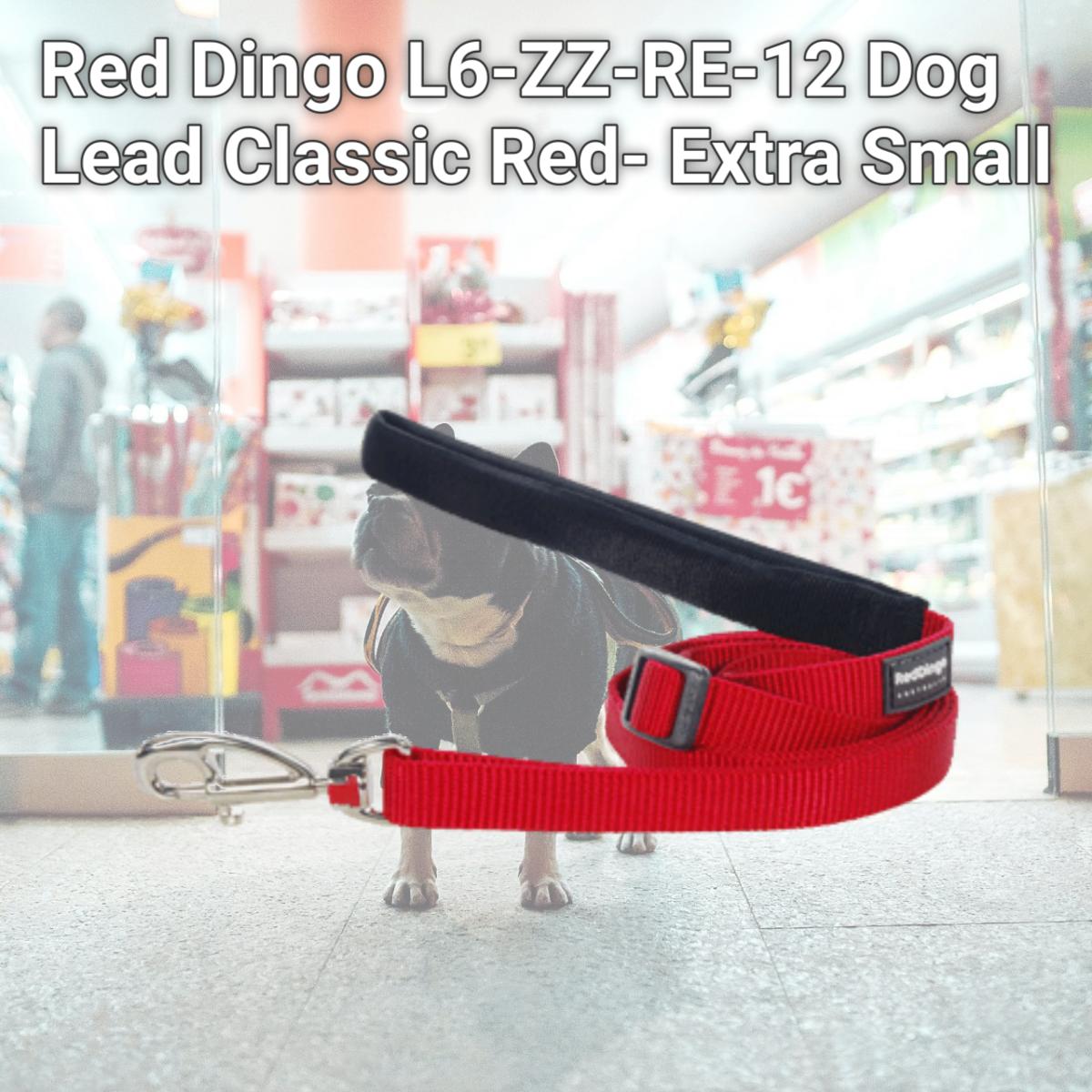 Picture of Red Dingo L6-ZZ-RE-12 Dog Lead Classic Red- Extra Small
