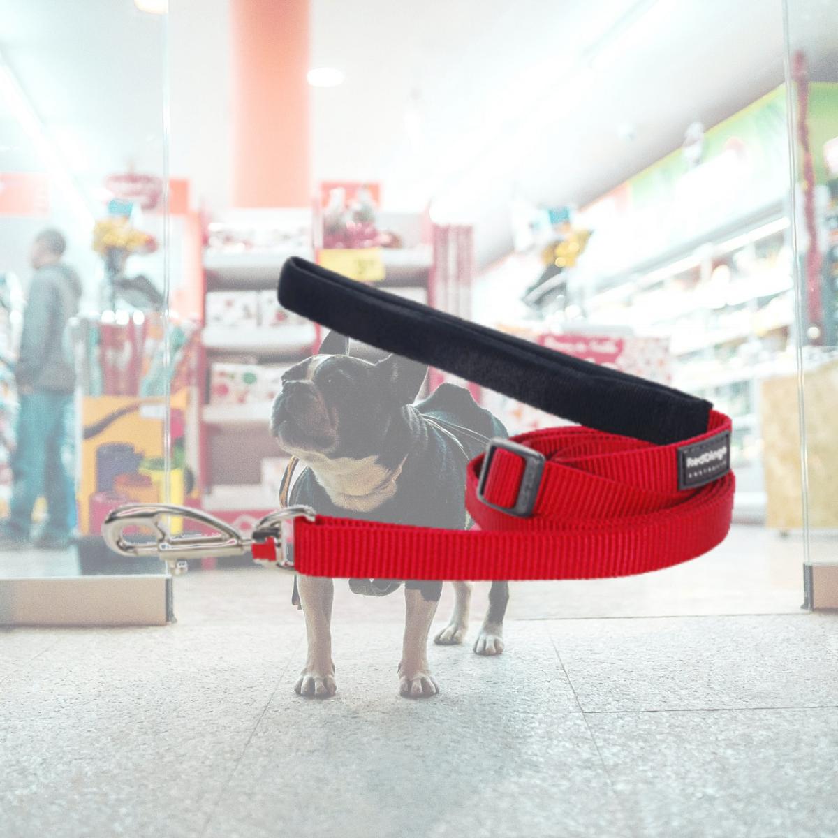 Picture of Red Dingo L6-ZZ-RE-12 Dog Lead Classic Red- Extra Small
