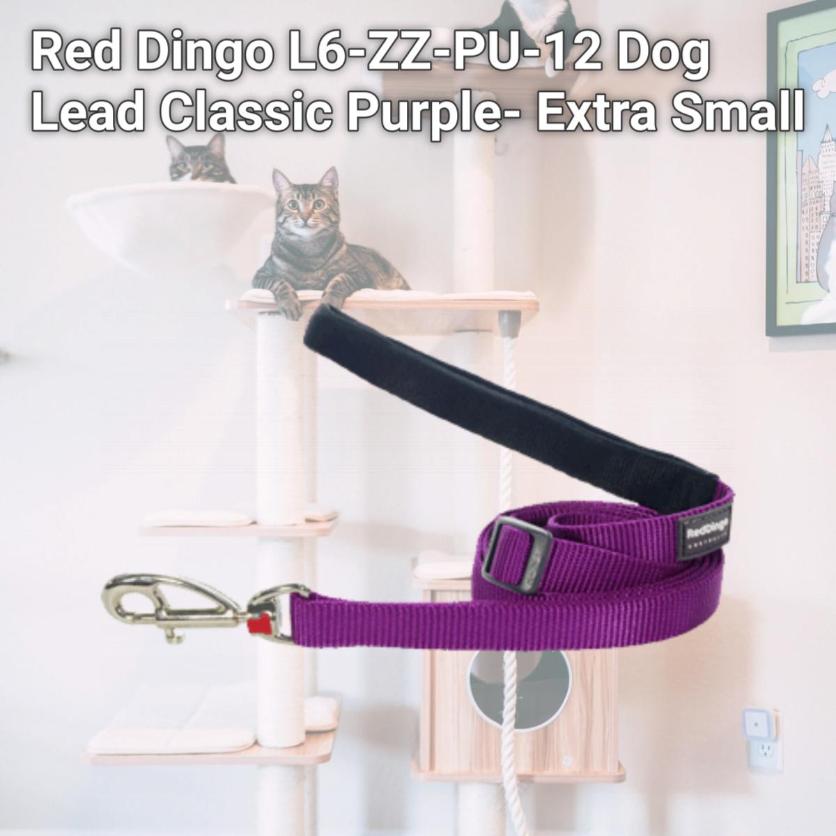 Picture of Red Dingo L6-ZZ-PU-12 Dog Lead Classic Purple- Extra Small