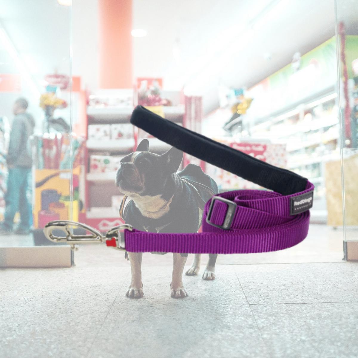 Picture of Red Dingo L6-ZZ-PU-12 Dog Lead Classic Purple- Extra Small
