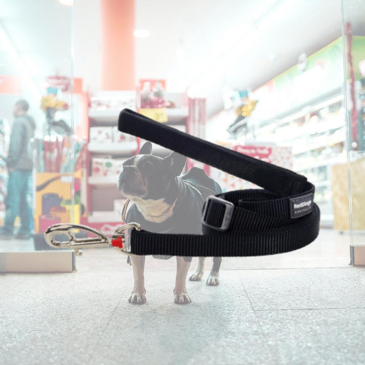 Picture of Red Dingo L6-ZZ-BB-12 Dog Lead Classic Black- Extra Small