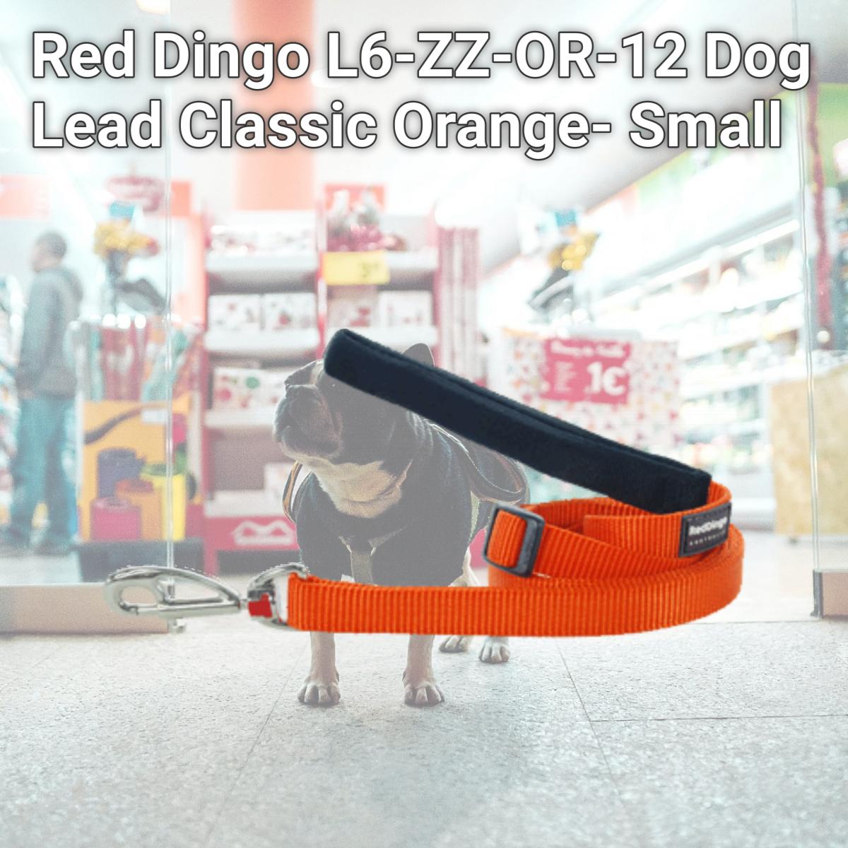 Picture of Red Dingo L6-ZZ-OR-12 Dog Lead Classic Orange- Small