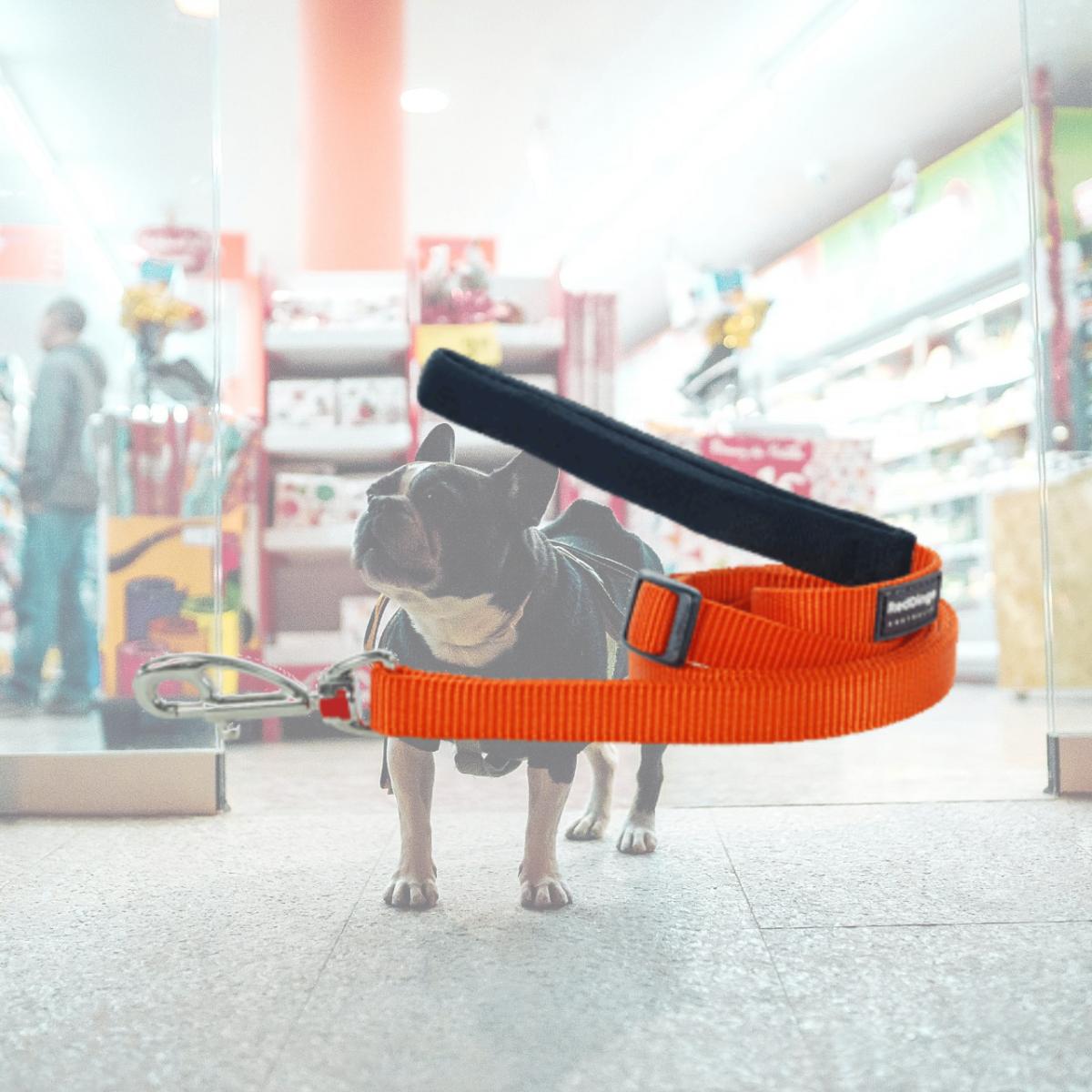 Picture of Red Dingo L6-ZZ-OR-12 Dog Lead Classic Orange- Small