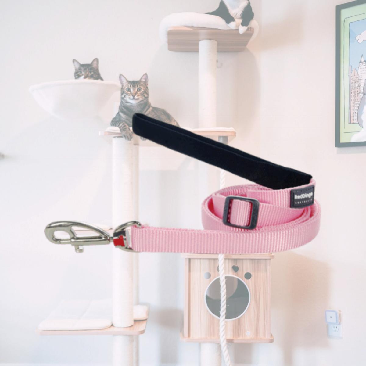 Picture of Red Dingo L6-ZZ-PK-12 Dog Lead Classic Pink- Extra Small