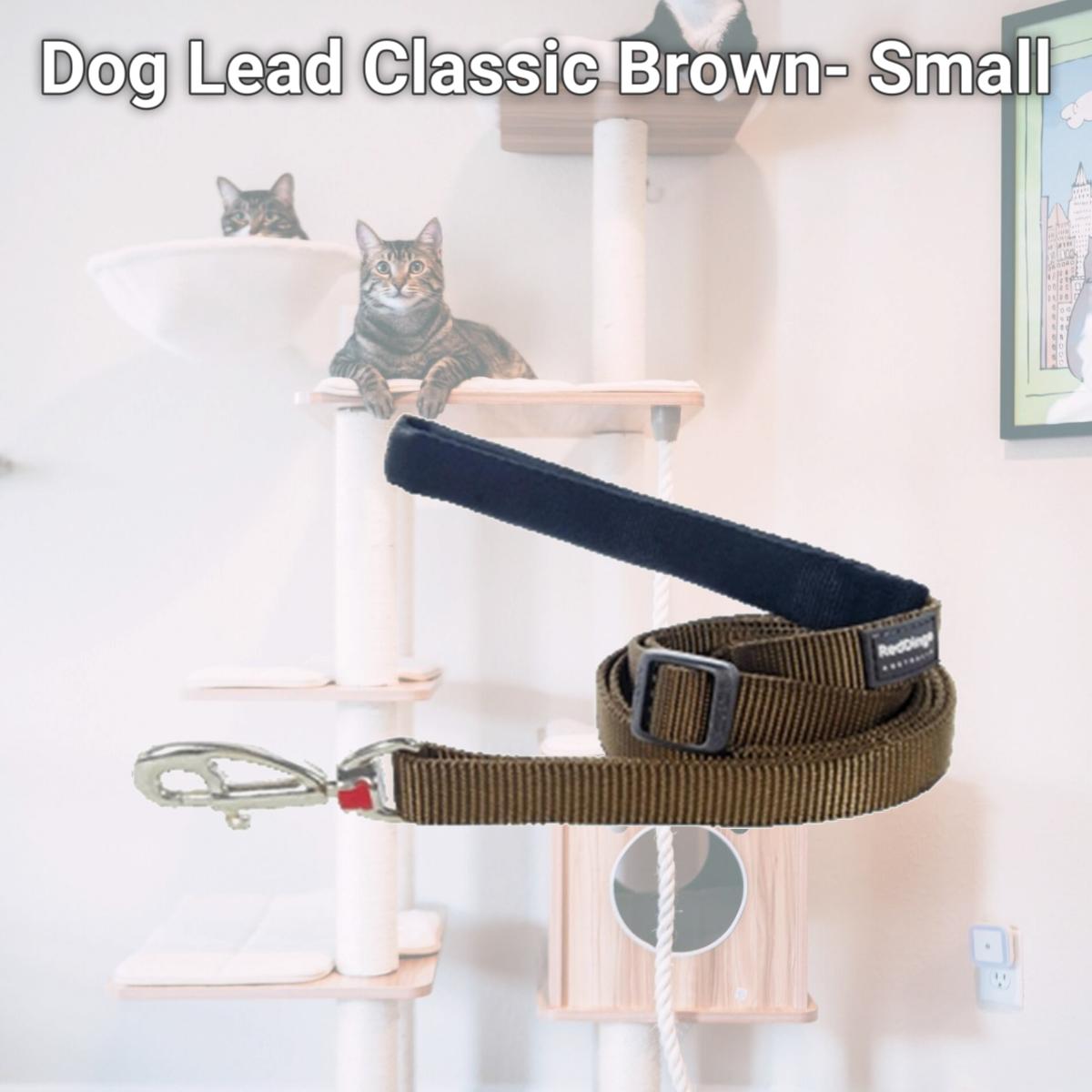 Picture of Red Dingo L6-ZZ-BR-12 Dog Lead Classic Brown- Extra Small