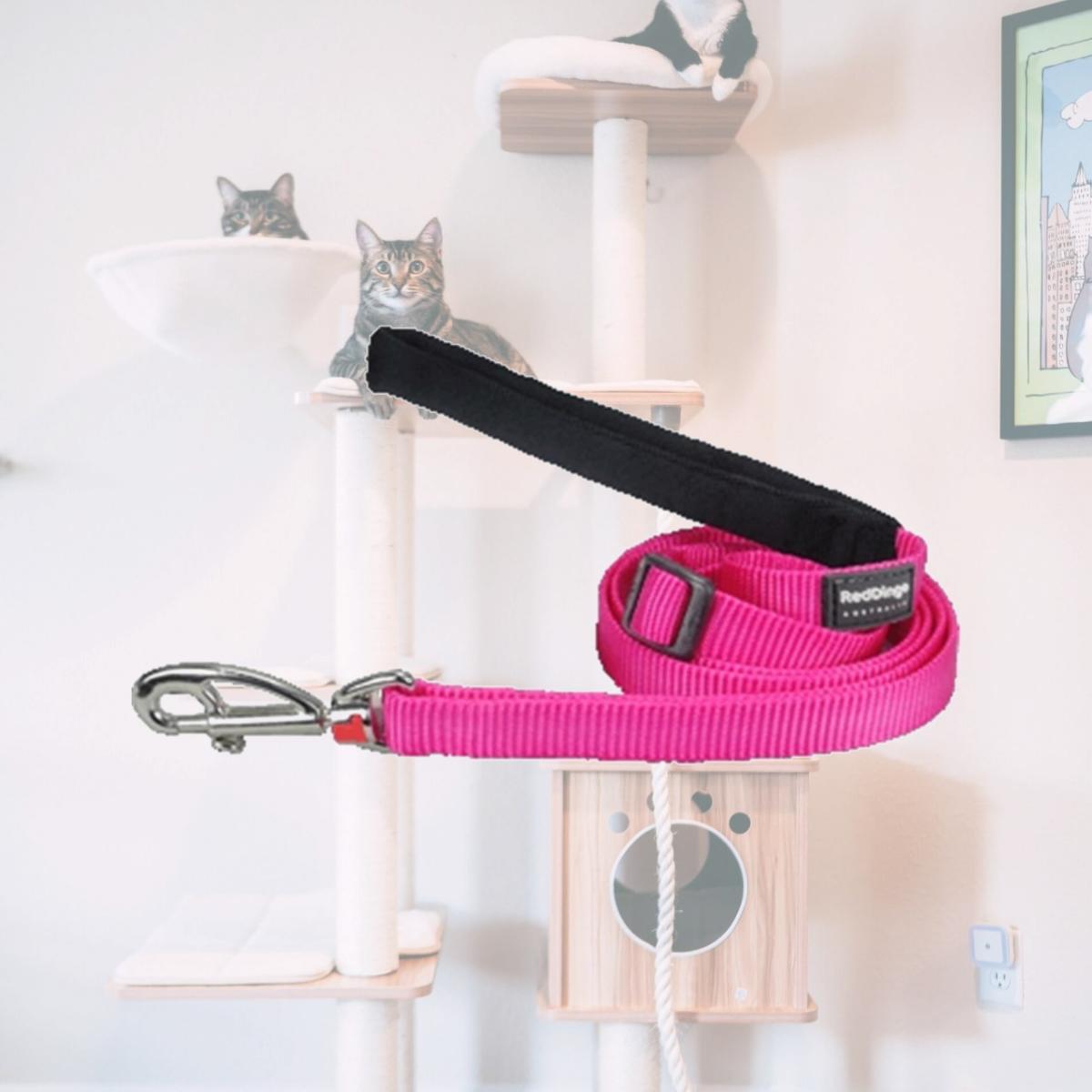 Picture of Red Dingo L6-ZZ-HP-12 Dog Lead Classic Hot Pink- Extra Small