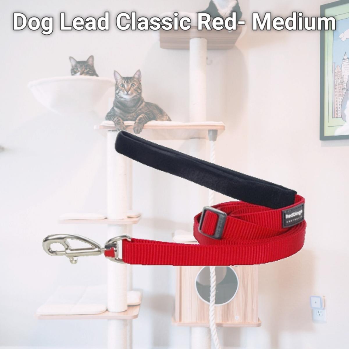 Picture of Red Dingo L6-ZZ-RE-20 Dog Lead Classic Red- Medium