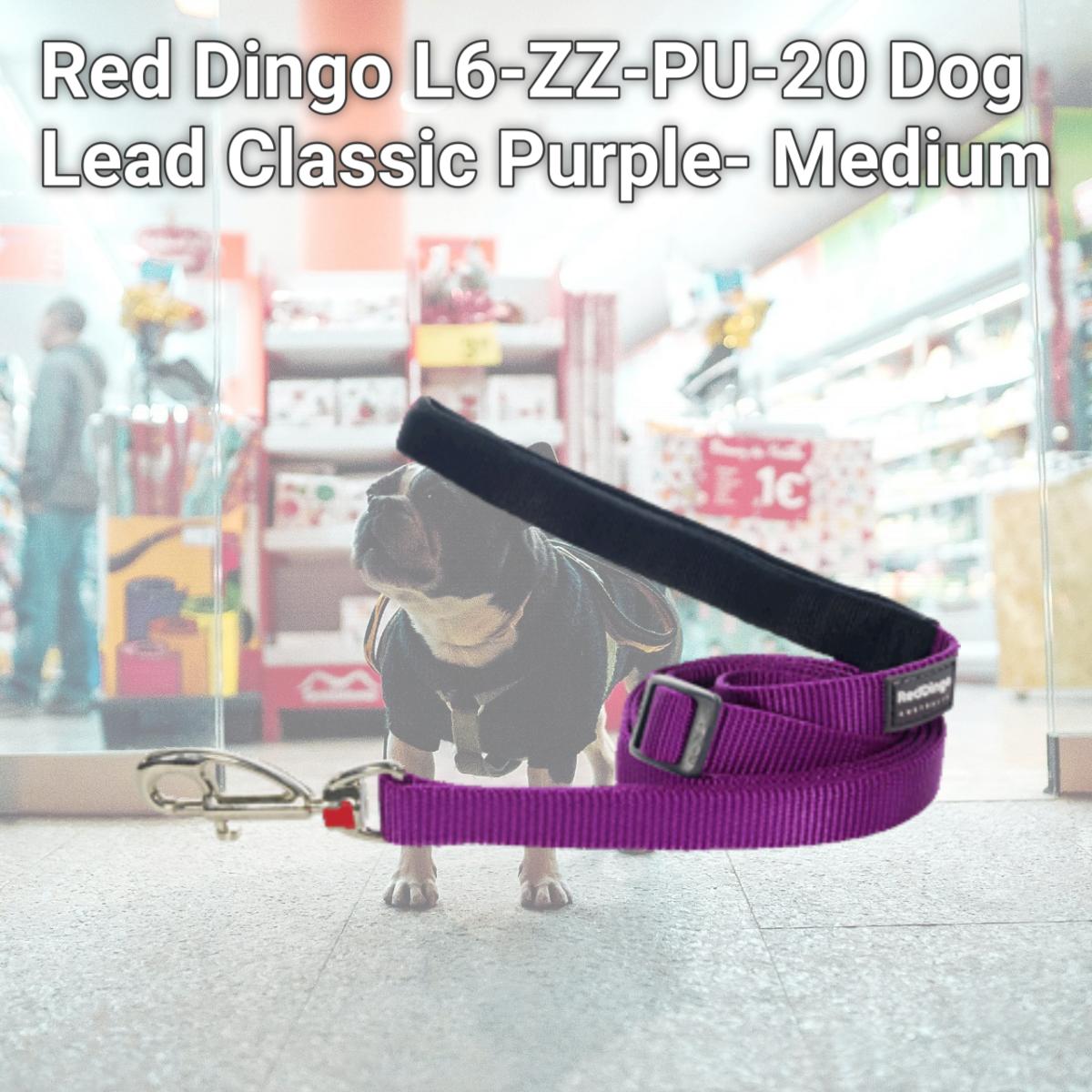Picture of Red Dingo L6-ZZ-PU-20 Dog Lead Classic Purple- Medium
