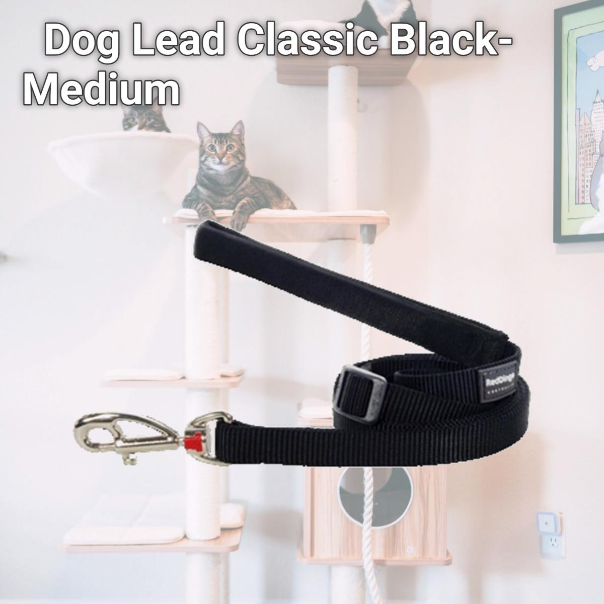 Picture of Red Dingo L6-ZZ-BB-20 Dog Lead Classic Black- Medium
