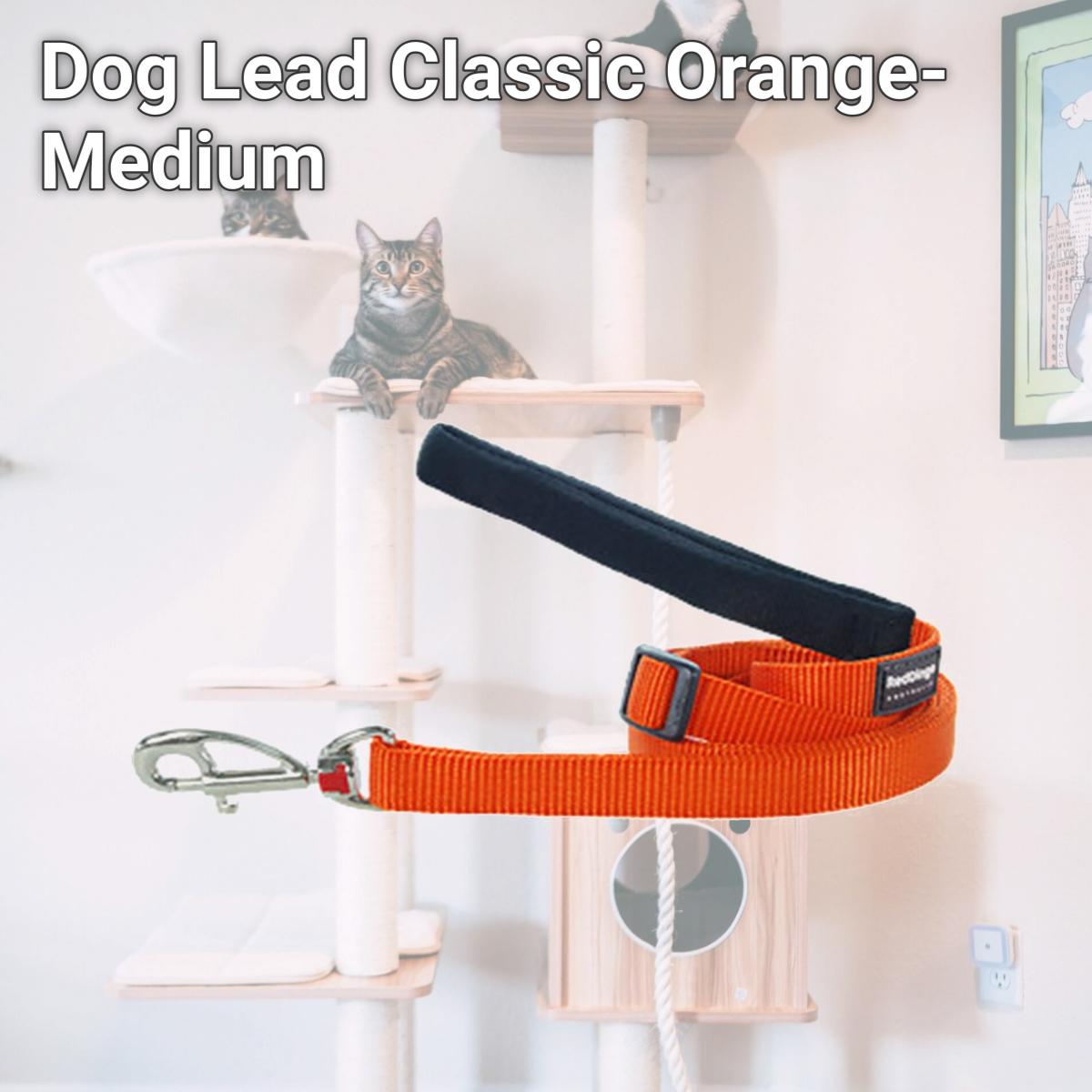 Picture of Red Dingo L6-ZZ-OR-20 Dog Lead Classic Orange- Medium