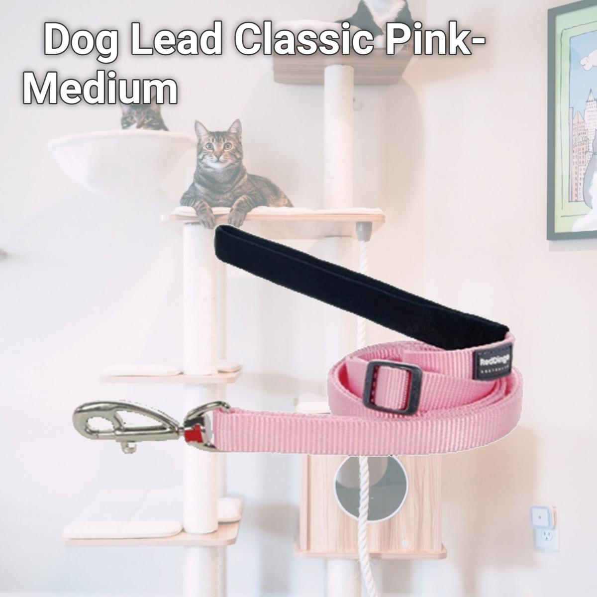Picture of Red Dingo L6-ZZ-PK-20 Dog Lead Classic Pink- Medium