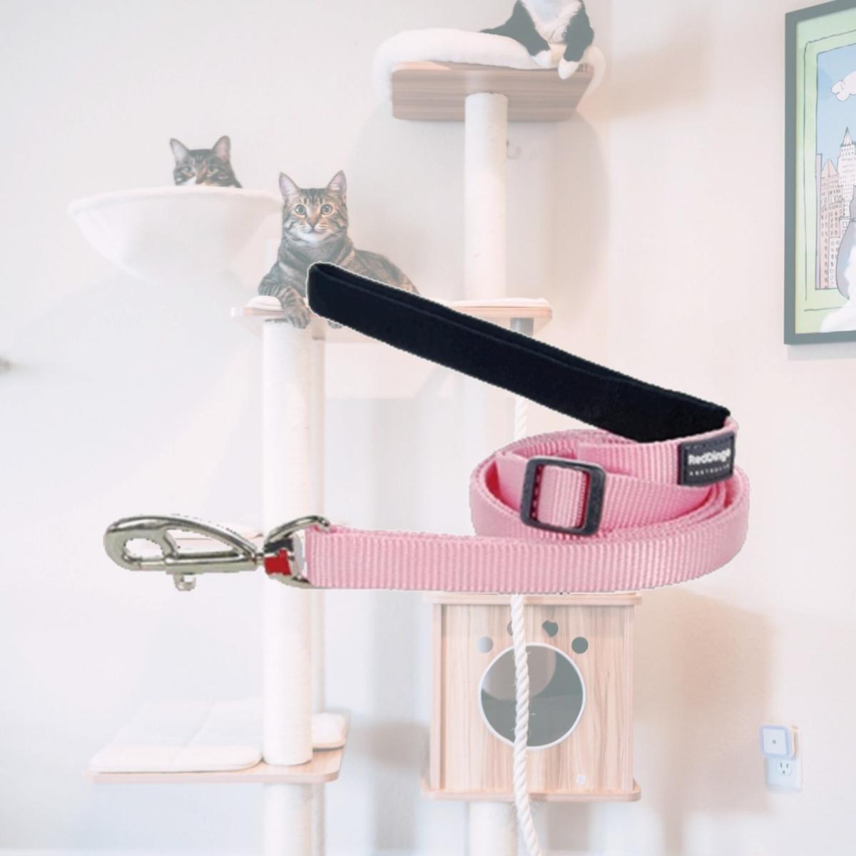 Picture of Red Dingo L6-ZZ-PK-20 Dog Lead Classic Pink- Medium