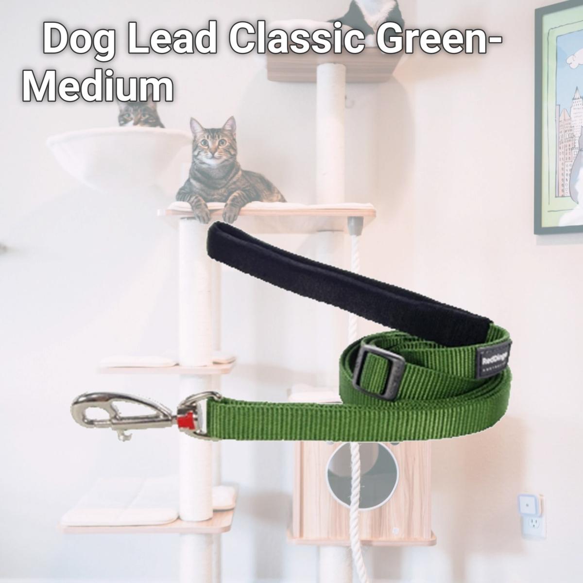 Picture of Red Dingo L6-ZZ-GR-20 Dog Lead Classic Green- Medium