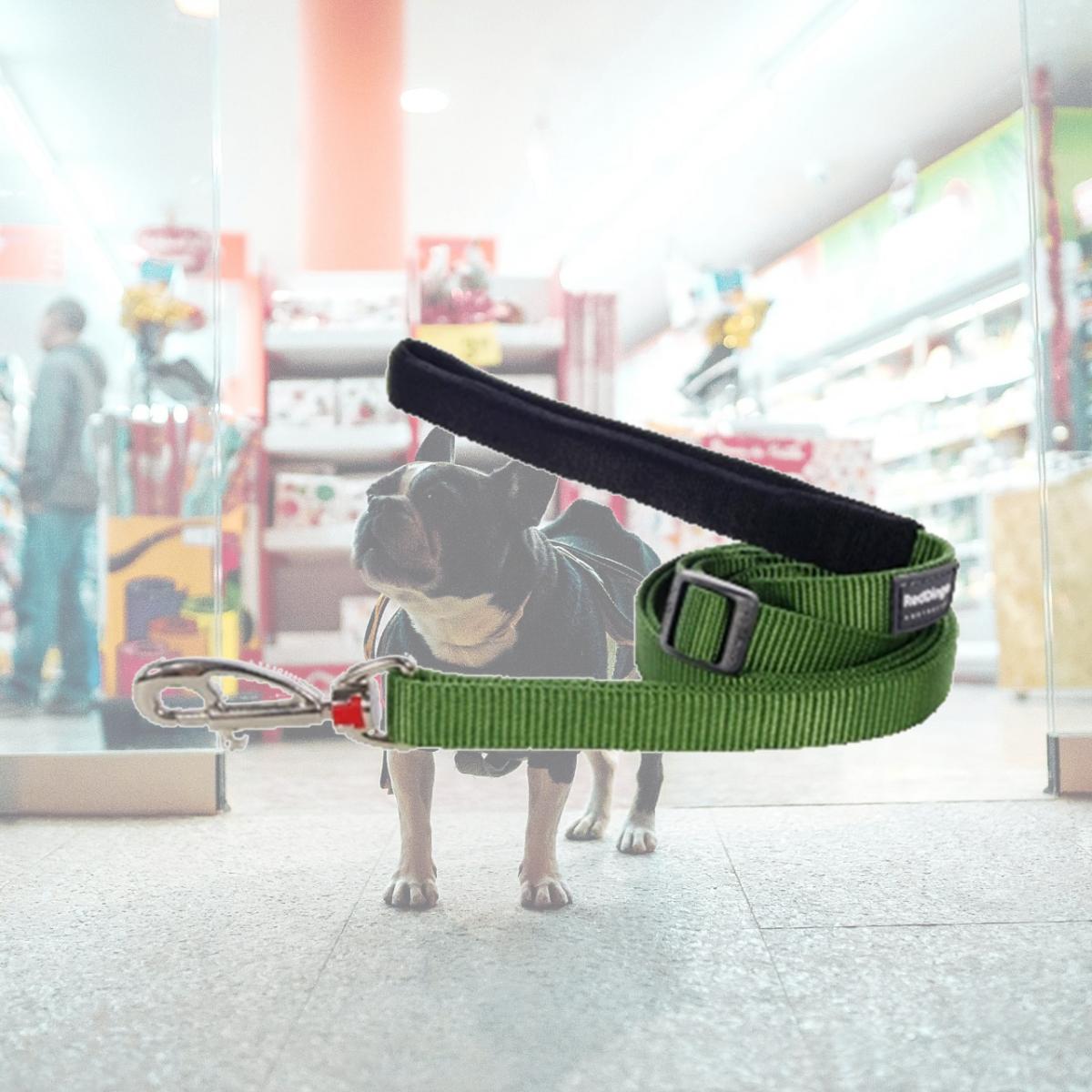 Picture of Red Dingo L6-ZZ-GR-20 Dog Lead Classic Green- Medium