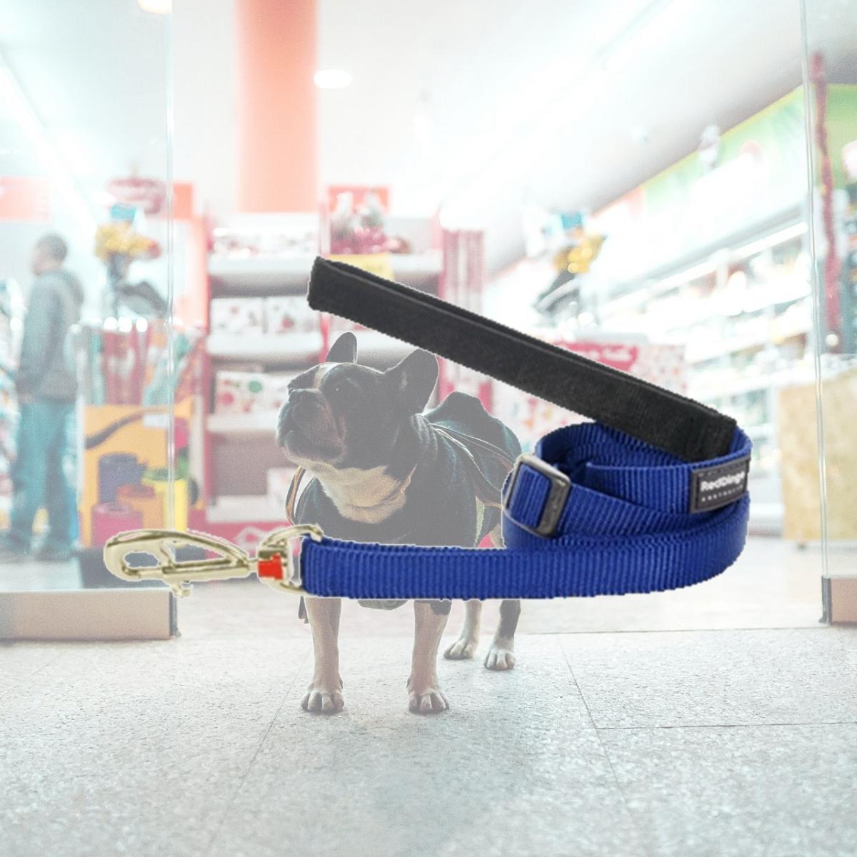 Picture of Red Dingo L6-ZZ-DB-25 Dog Lead Classic Dark Blue- Large