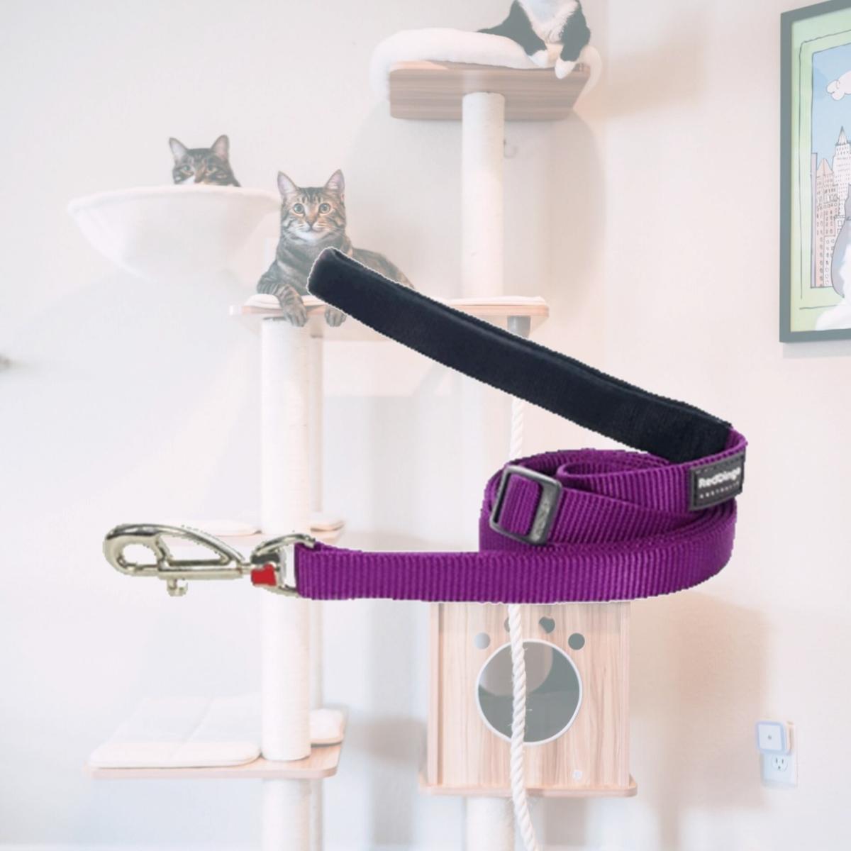 Picture of Red Dingo L6-ZZ-PU-25 Dog Lead Classic Purple- Large