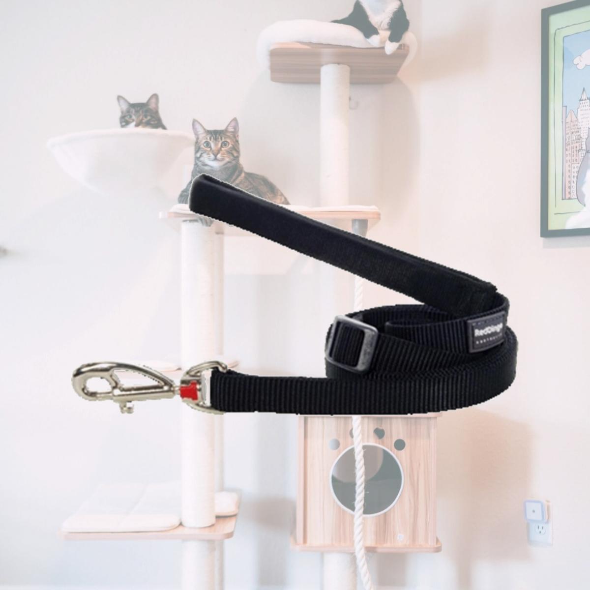 Picture of Red Dingo L6-ZZ-BB-25 Dog Lead Classic Black- Large