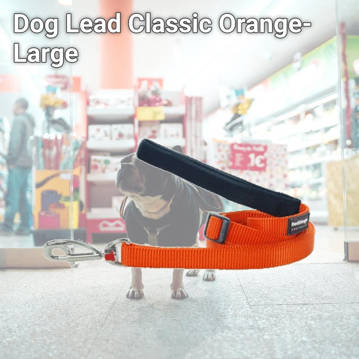 Picture of Red Dingo L6-ZZ-OR-25 Red Dingo Dog Lead Classic Orange Large