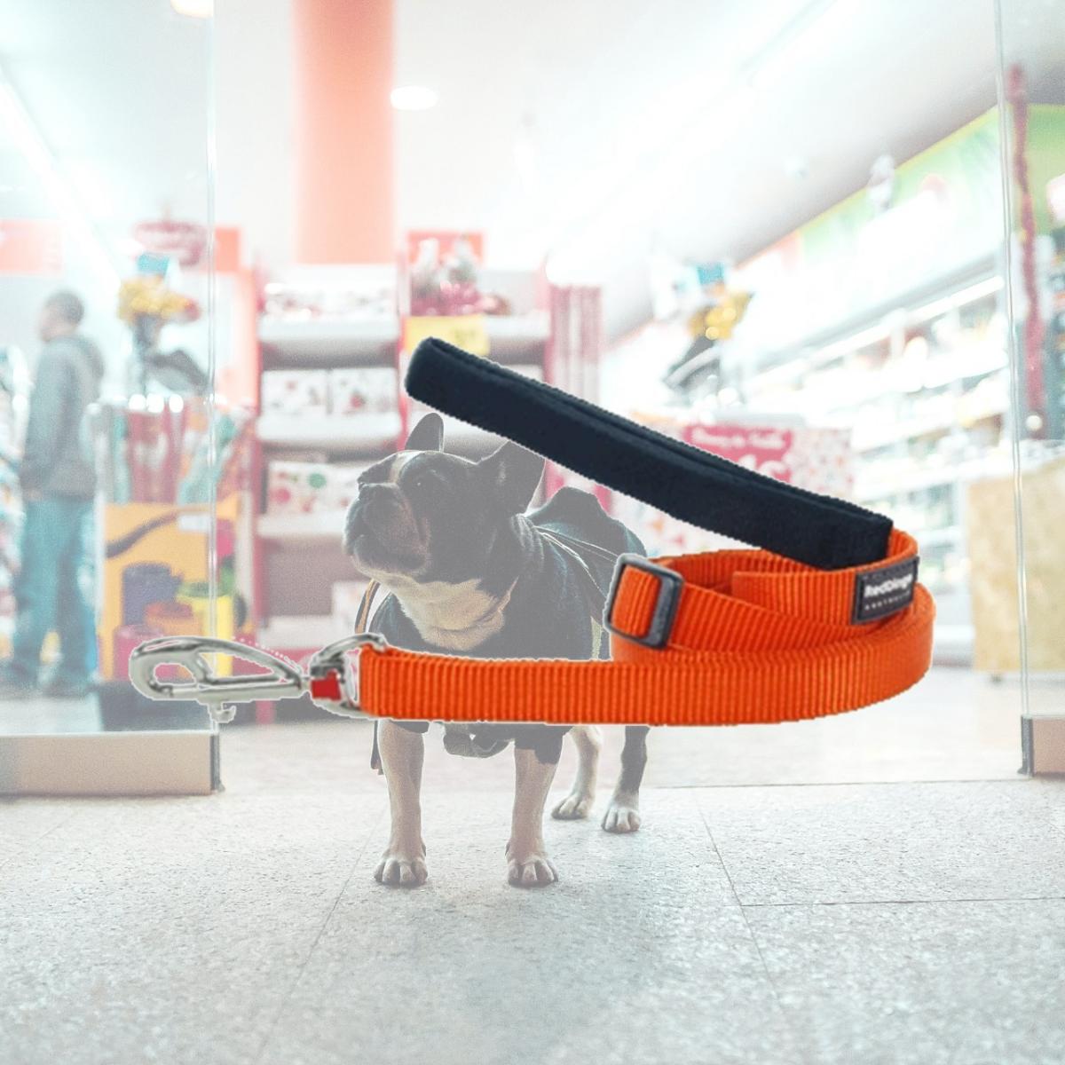 Picture of Red Dingo L6-ZZ-OR-25 Red Dingo Dog Lead Classic Orange Large