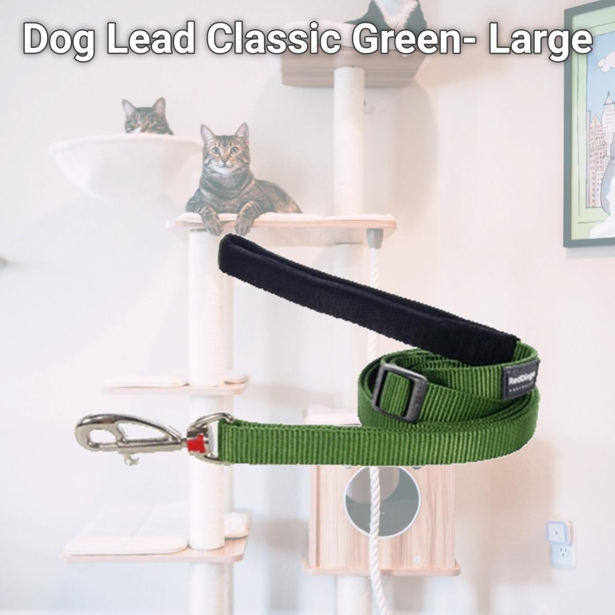 Picture of Red Dingo L6-ZZ-GR-25 Dog Lead Classic Green- Large