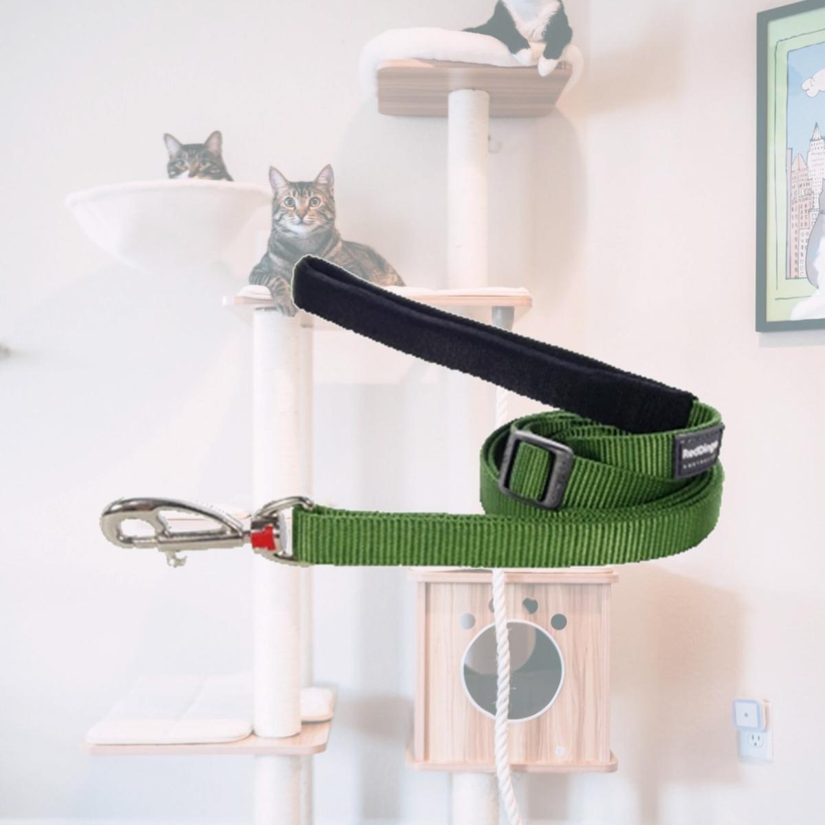 Picture of Red Dingo L6-ZZ-GR-25 Dog Lead Classic Green- Large