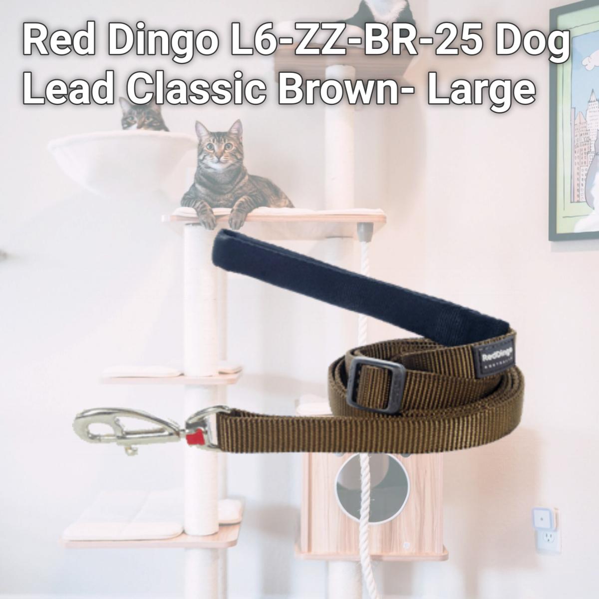Picture of Red Dingo L6-ZZ-BR-25 Dog Lead Classic Brown- Large