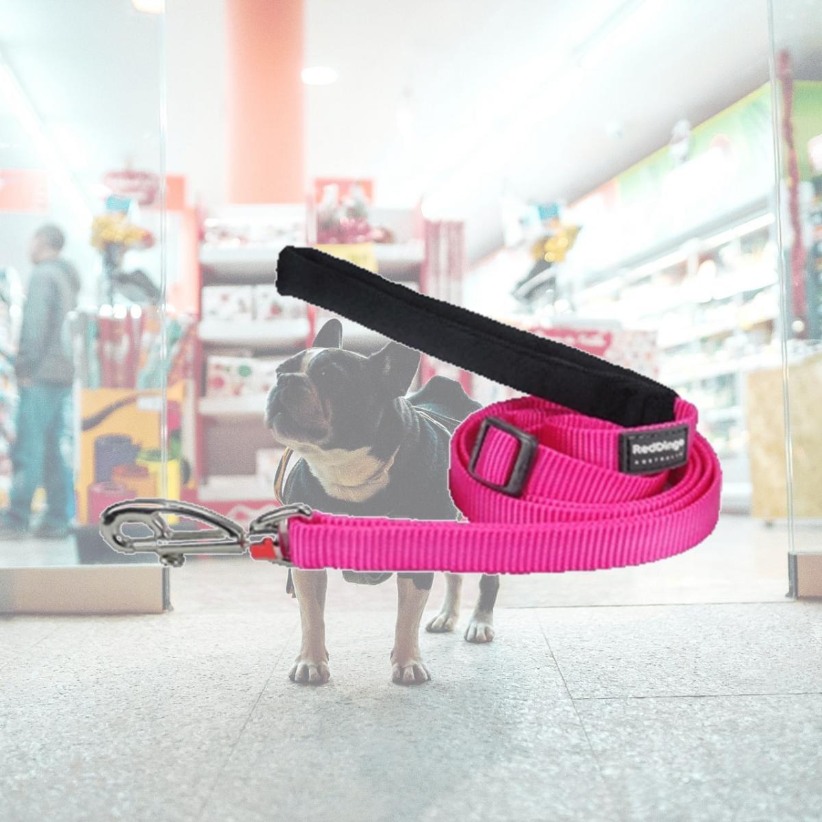 Picture of Red Dingo L6-ZZ-HP-25 Dog Lead Classic Hot Pink- Large