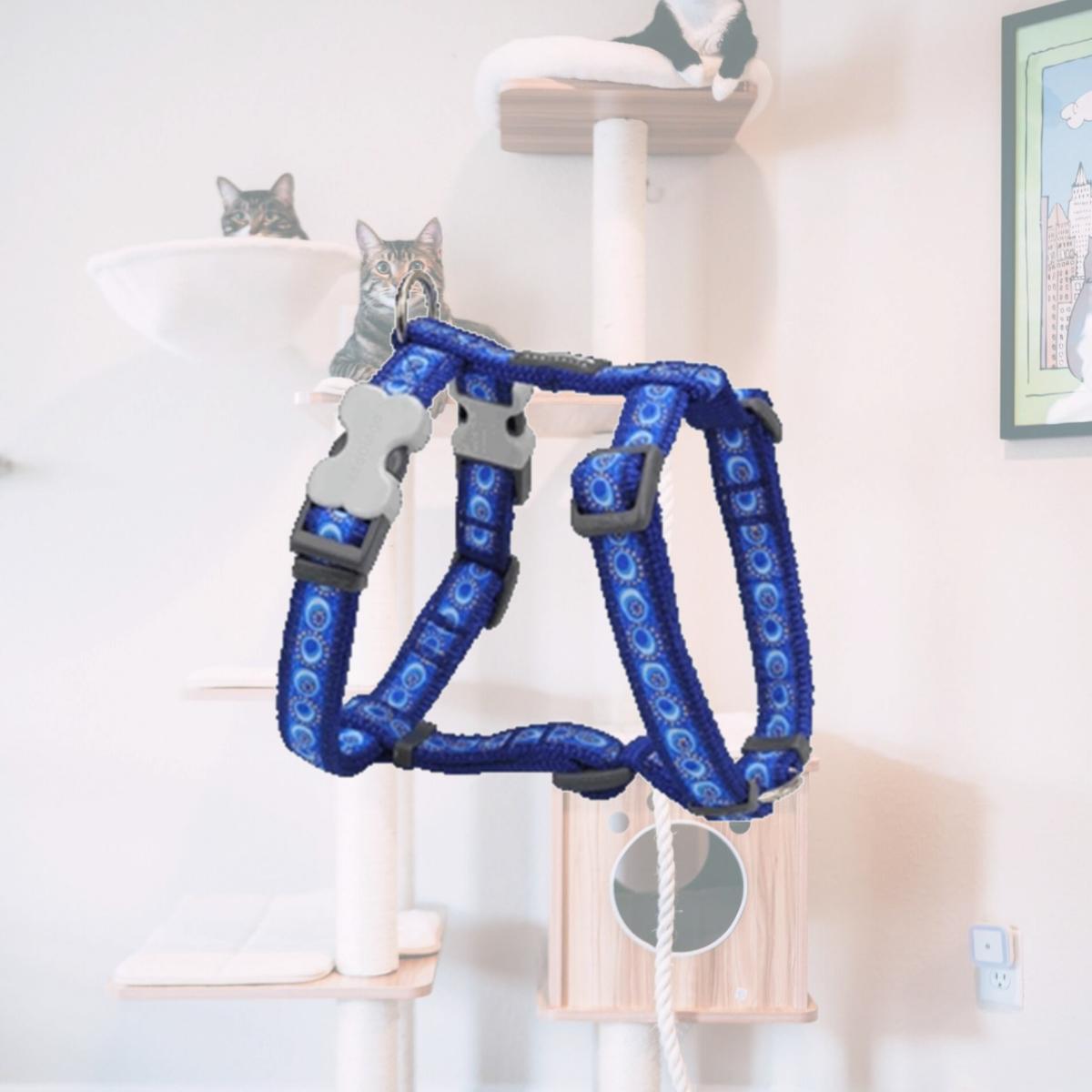 Picture of Red Dingo DH-CO-DB-12 Dog Harness Design Cosmos Dark Blue- Extra Small