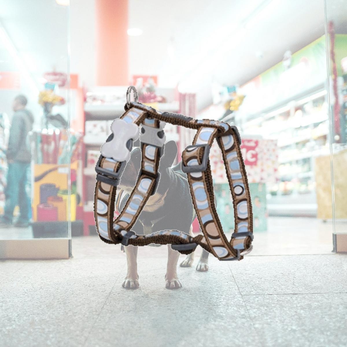Picture of Red Dingo DH-CI-BR-12 Dog Harness Design Circadelic Brown- Extra Small