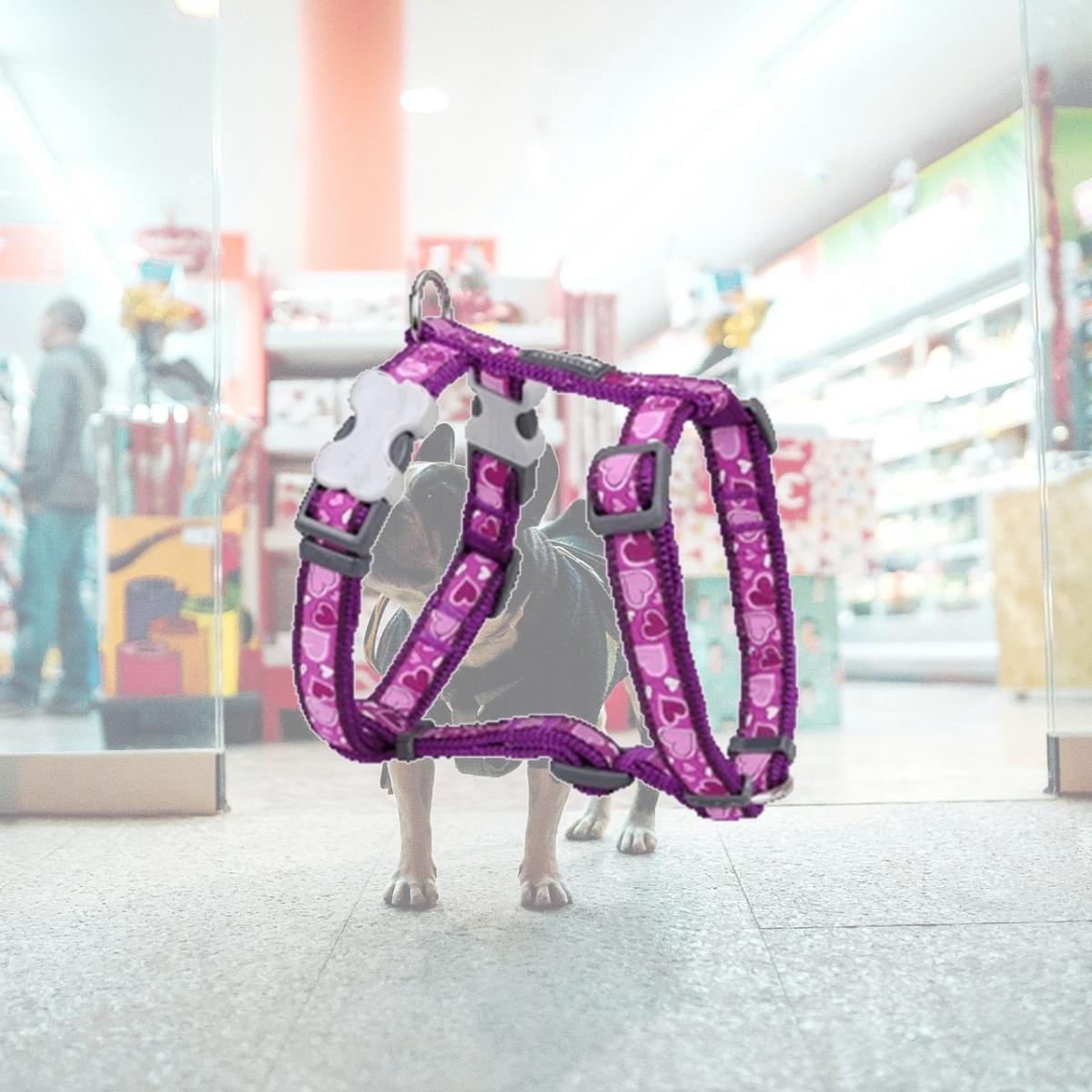 Picture of Red Dingo DH-BZ-PU-12 Dog Harness Design Breezy Love Purple- Extra Small