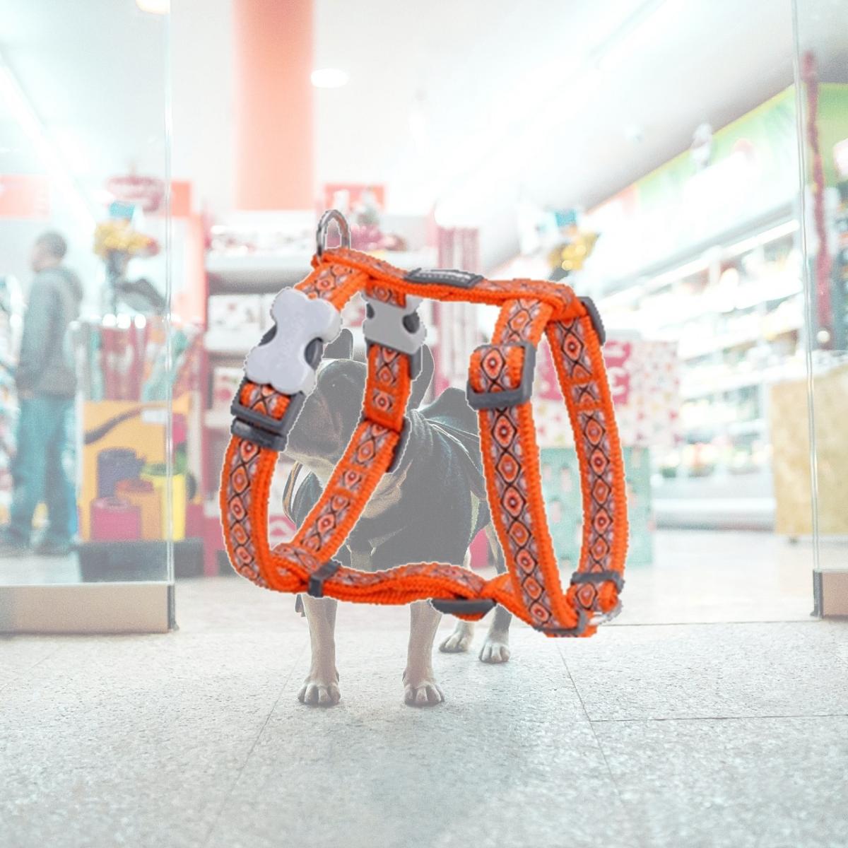 Picture of Red Dingo DH-SE-OR-12 Dog Harness Design Snake Eyes Orange- Extra Small