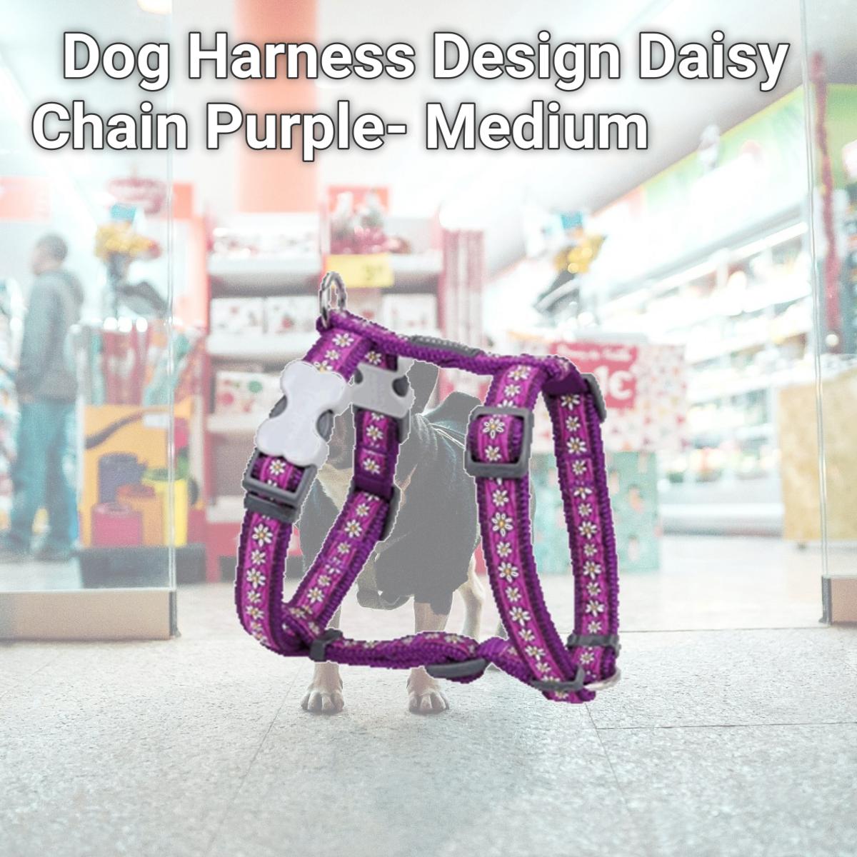 Picture of Red Dingo DH-DC-PU-20 Dog Harness Design Daisy Chain Purple- Medium