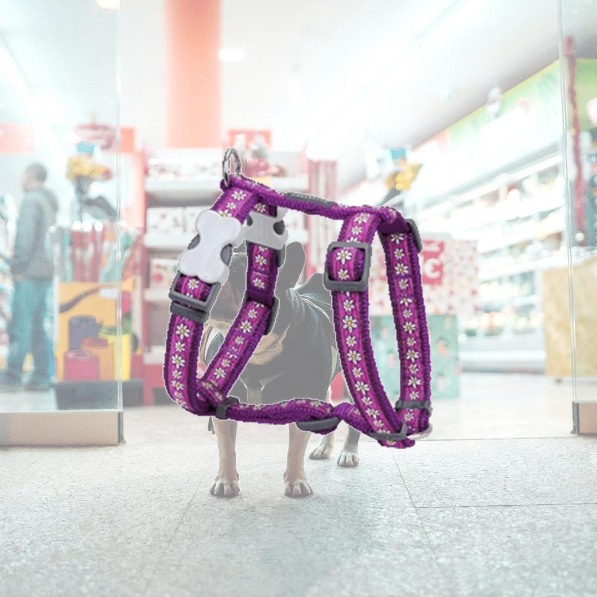 Picture of Red Dingo DH-DC-PU-20 Dog Harness Design Daisy Chain Purple- Medium
