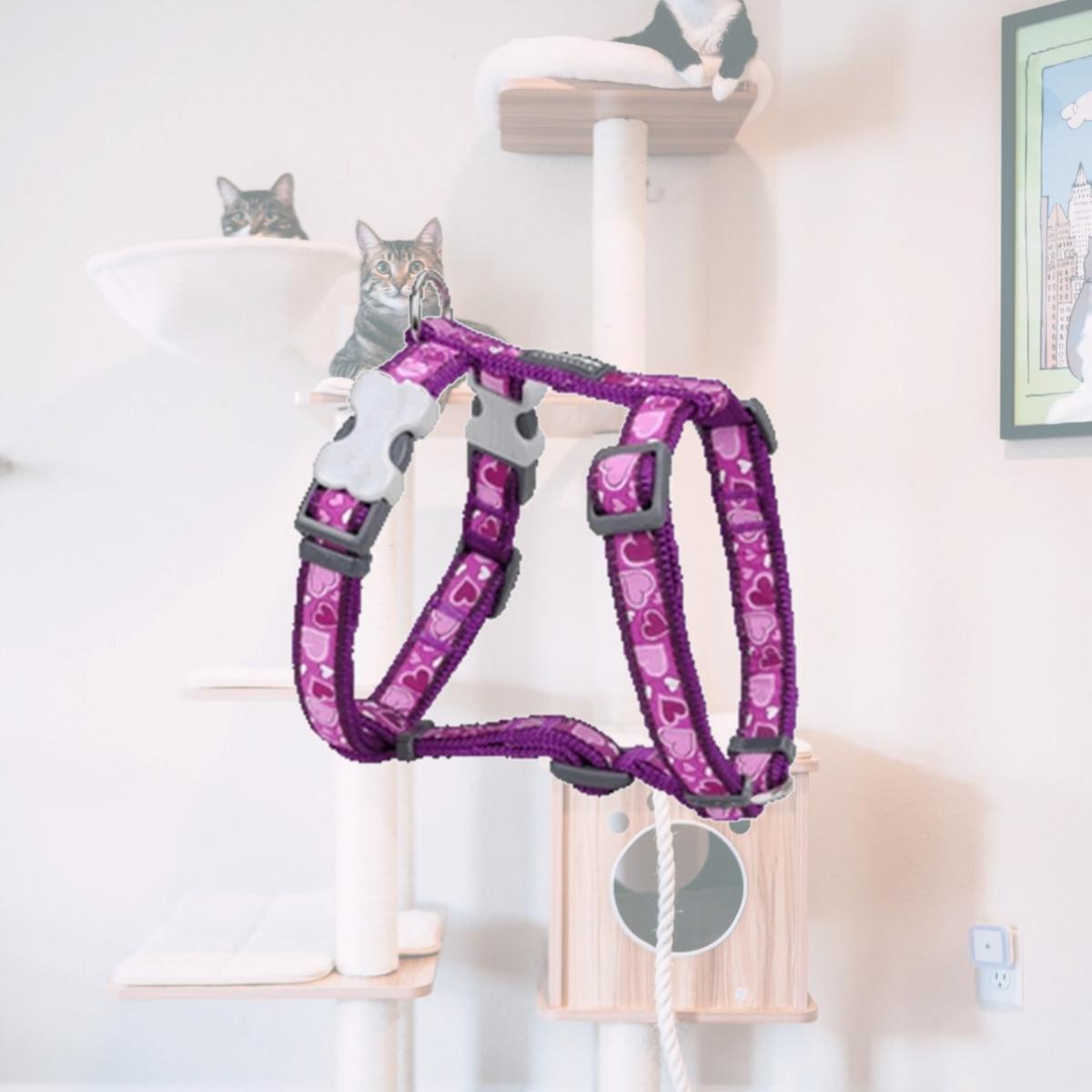 Picture of Red Dingo DH-BZ-PU-20 Dog Harness Design Breezy Love Purple- Medium
