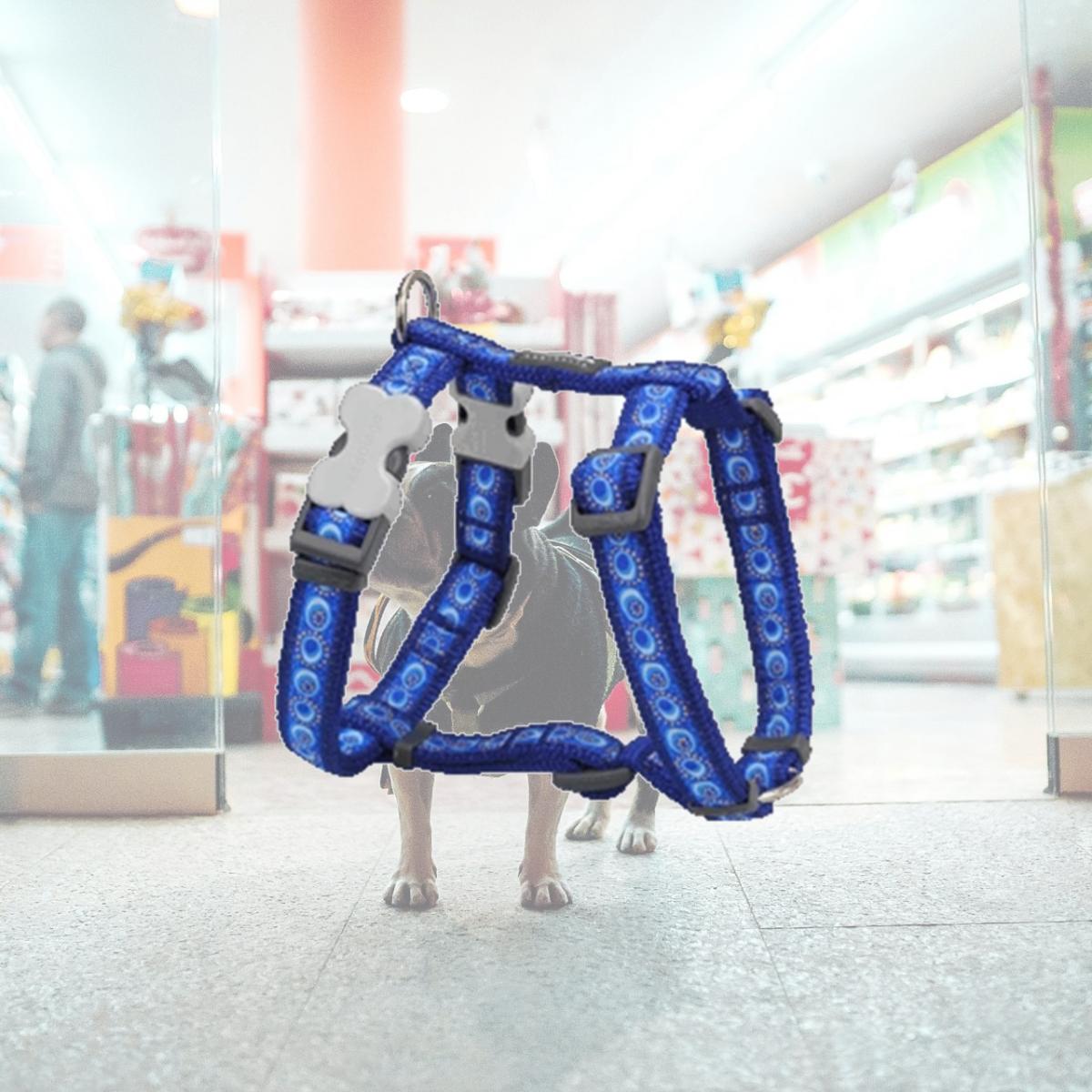 Picture of Red Dingo DH-CO-DB-25 Dog Harness Design Cosmos Dark Blue- Large