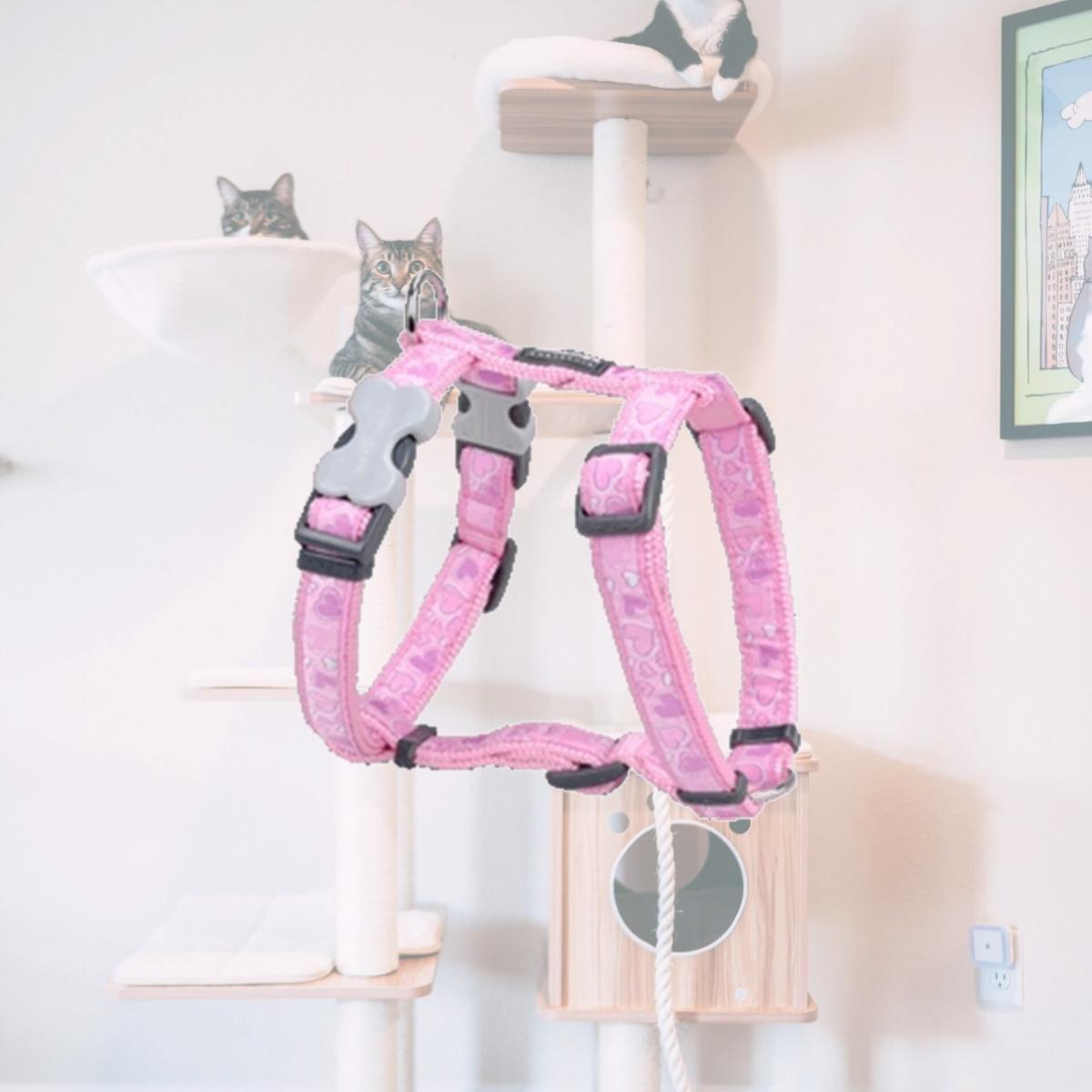 Picture of Red Dingo DH-BZ-PK-25 Dog Harness Design Breezy Love Pink- Large