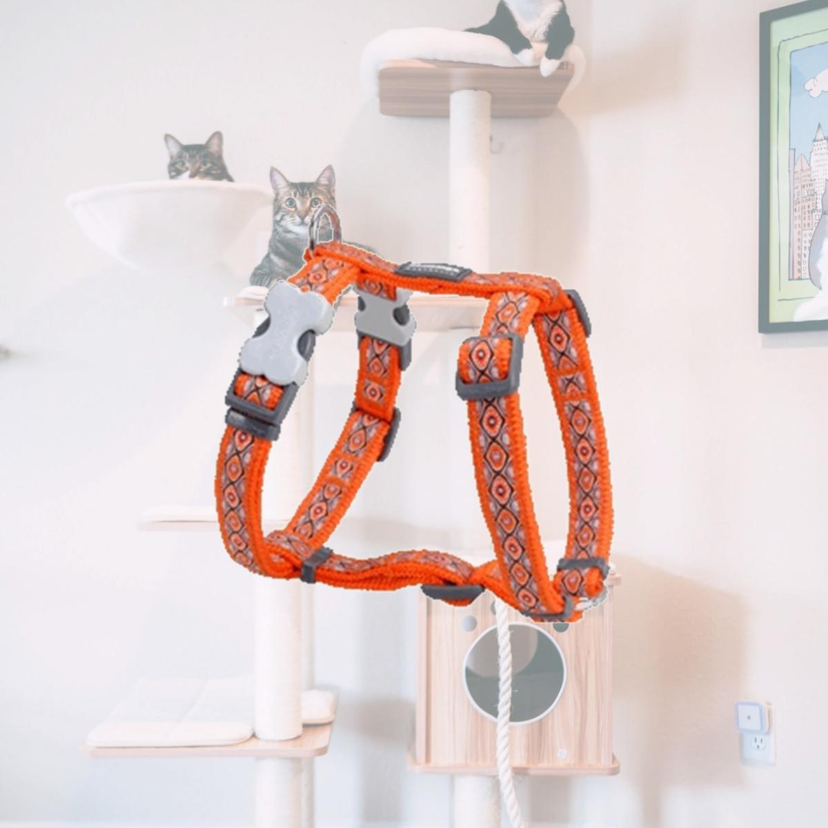 Picture of Red Dingo DH-SE-OR-25 Dog Harness Design Snake Eyes Orange- Large