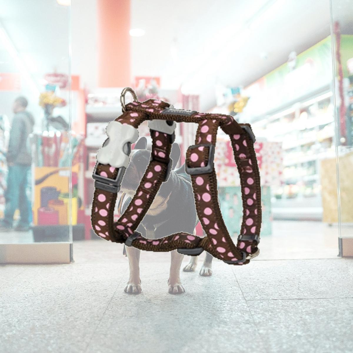 Picture of Red Dingo DH-S1-BR-25 Dog Harness Design Pink Dots on Brown- Large
