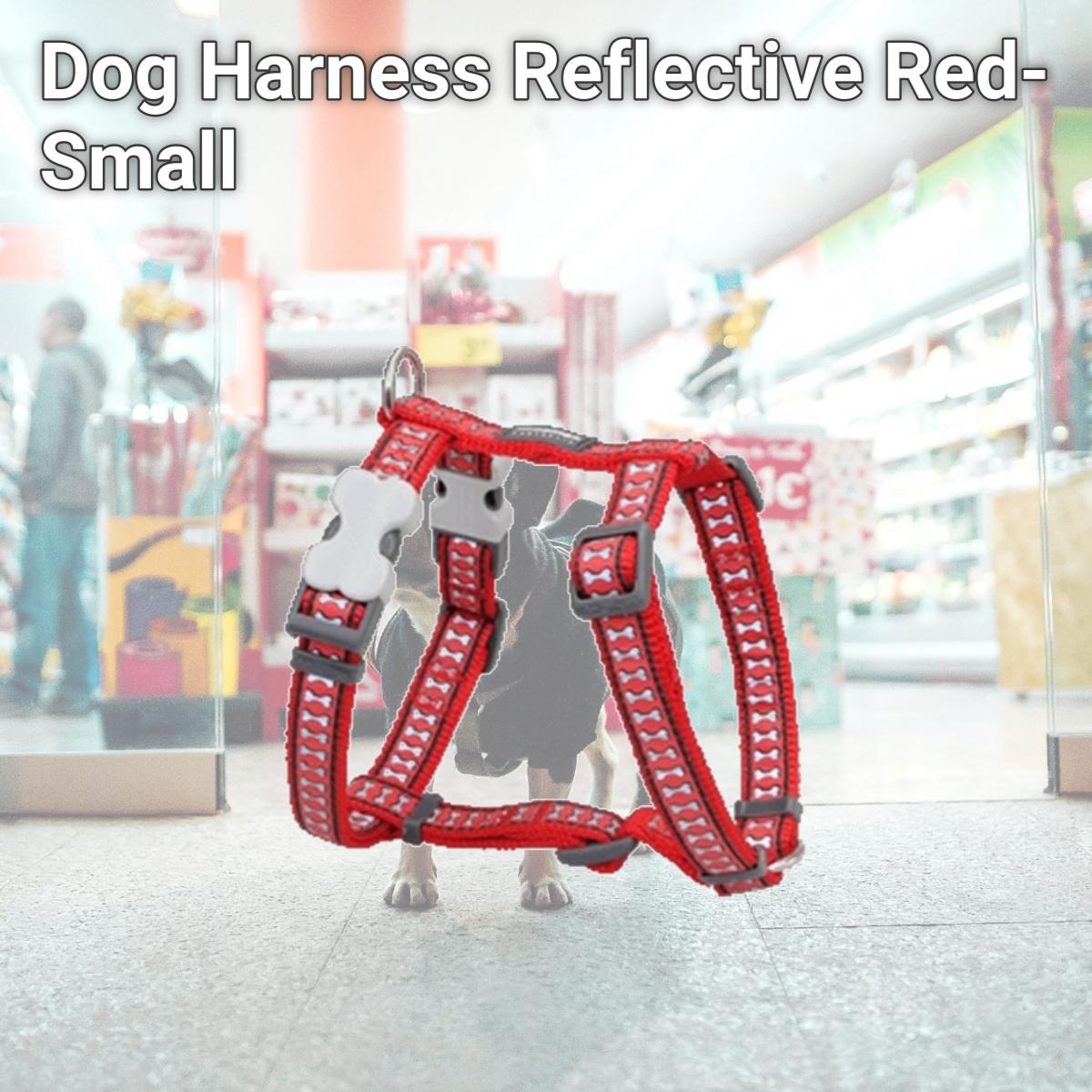 Picture of Red Dingo DH-RB-RE-12 Dog Harness Reflective Red- Extra Small