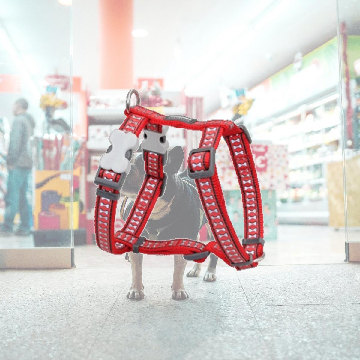 Picture of Red Dingo DH-RB-RE-12 Dog Harness Reflective Red- Extra Small