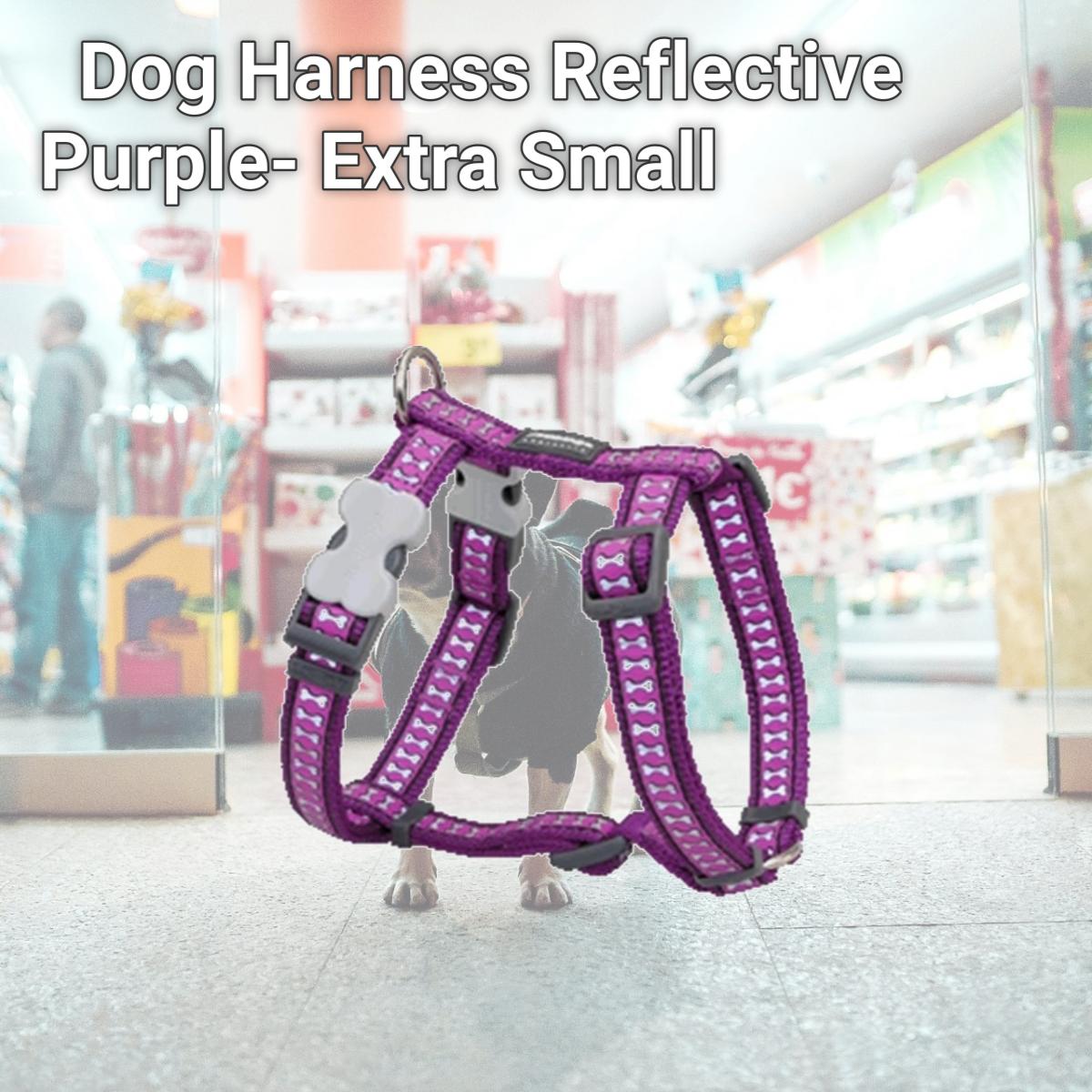 Picture of Red Dingo DH-RB-PU-12 Dog Harness Reflective Purple- Extra Small