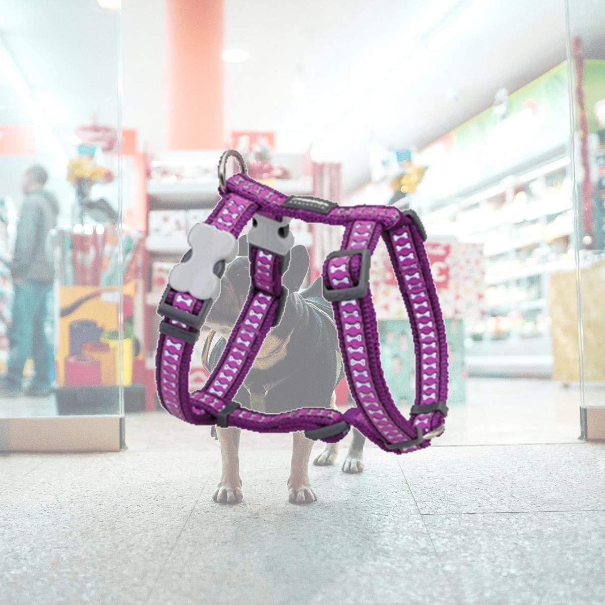 Picture of Red Dingo DH-RB-PU-12 Dog Harness Reflective Purple- Extra Small