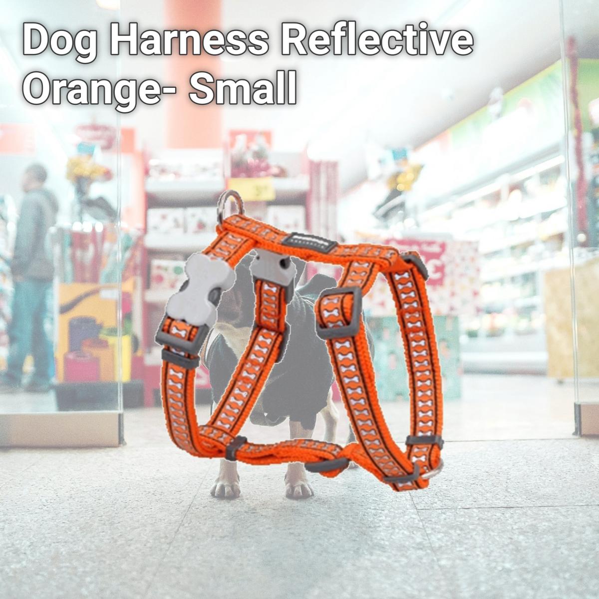 Picture of Red Dingo DH-RB-OR-12 Dog Harness Reflective Orange- Extra Small