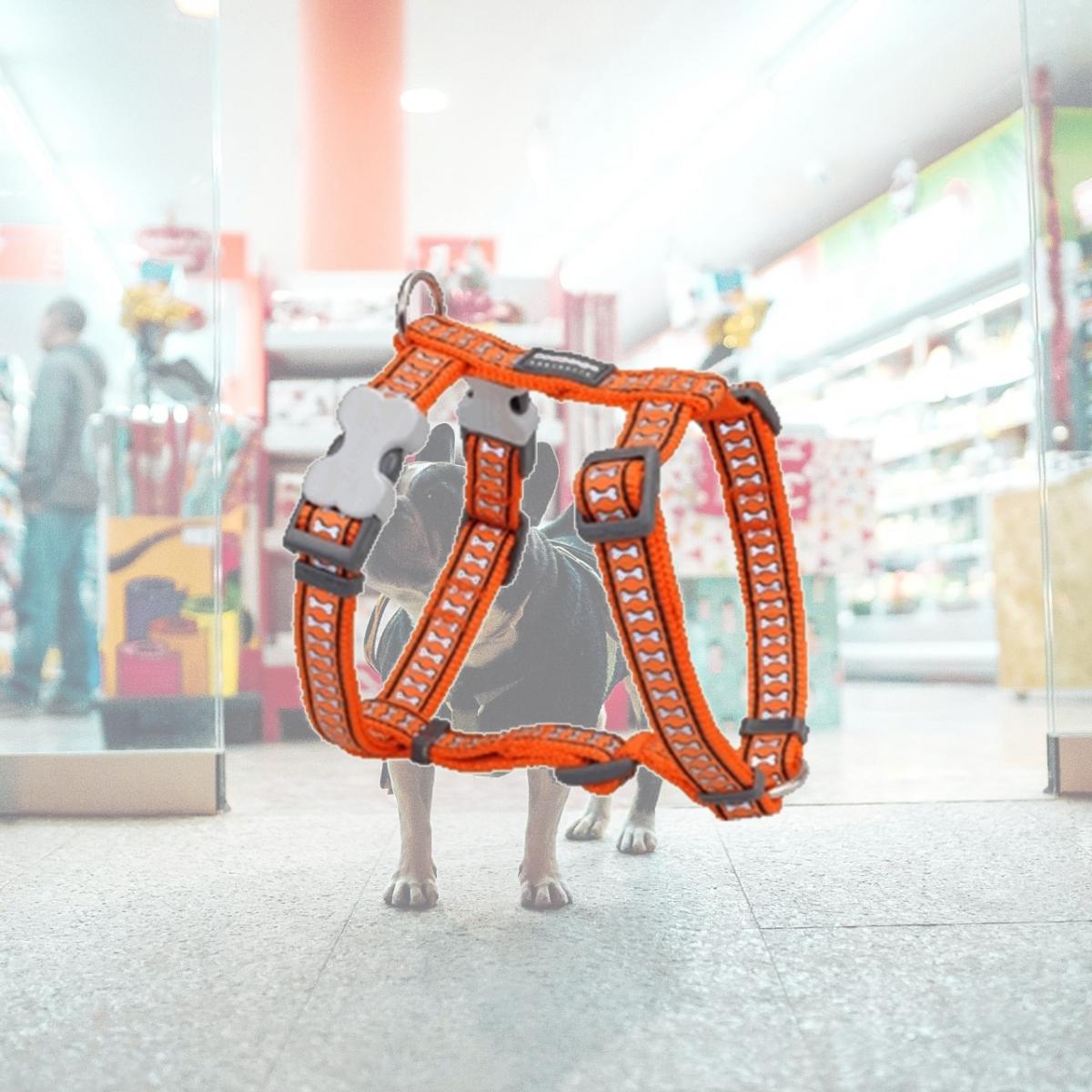 Picture of Red Dingo DH-RB-OR-12 Dog Harness Reflective Orange- Extra Small